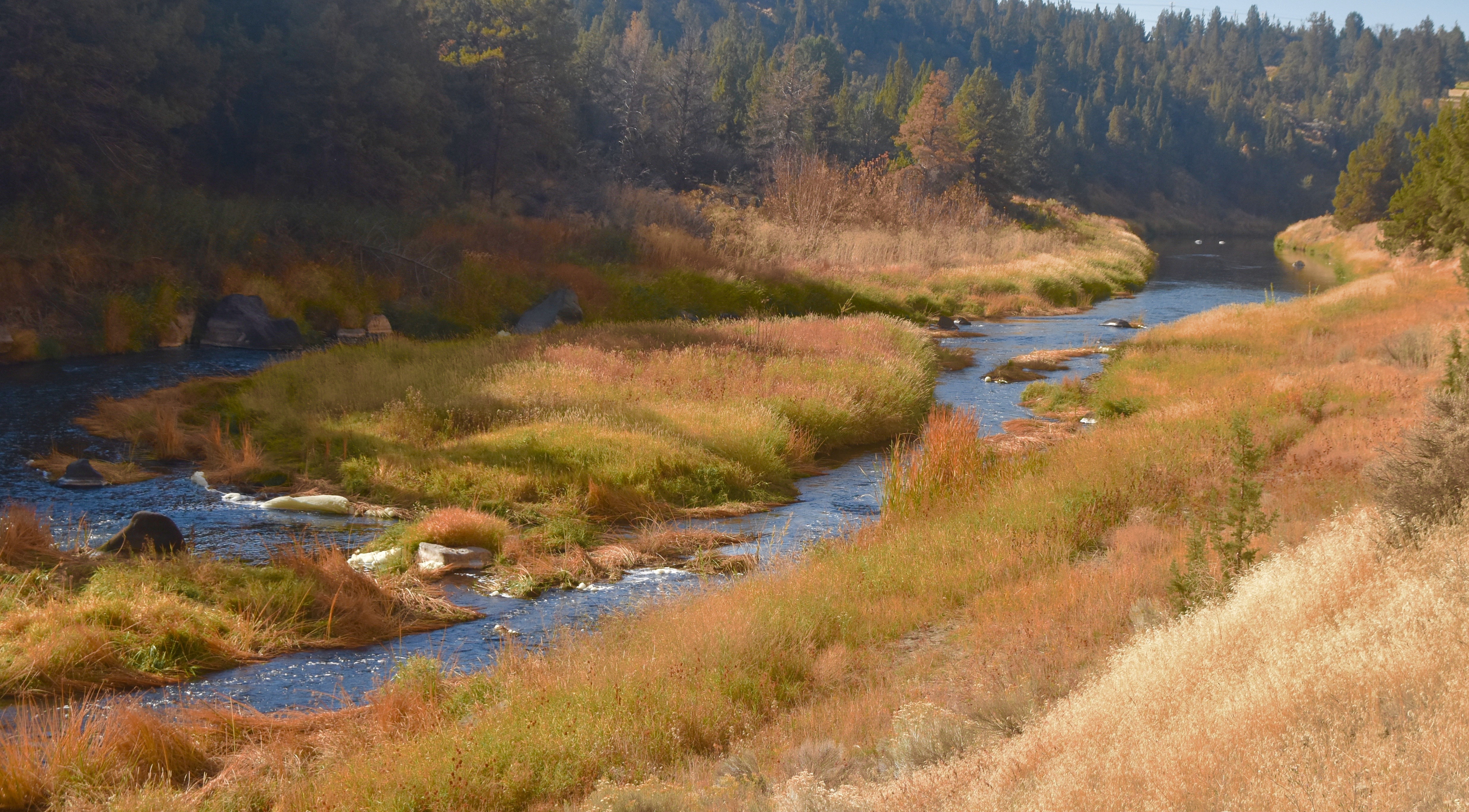 Autumn Crooked River, Smith Rock State Park