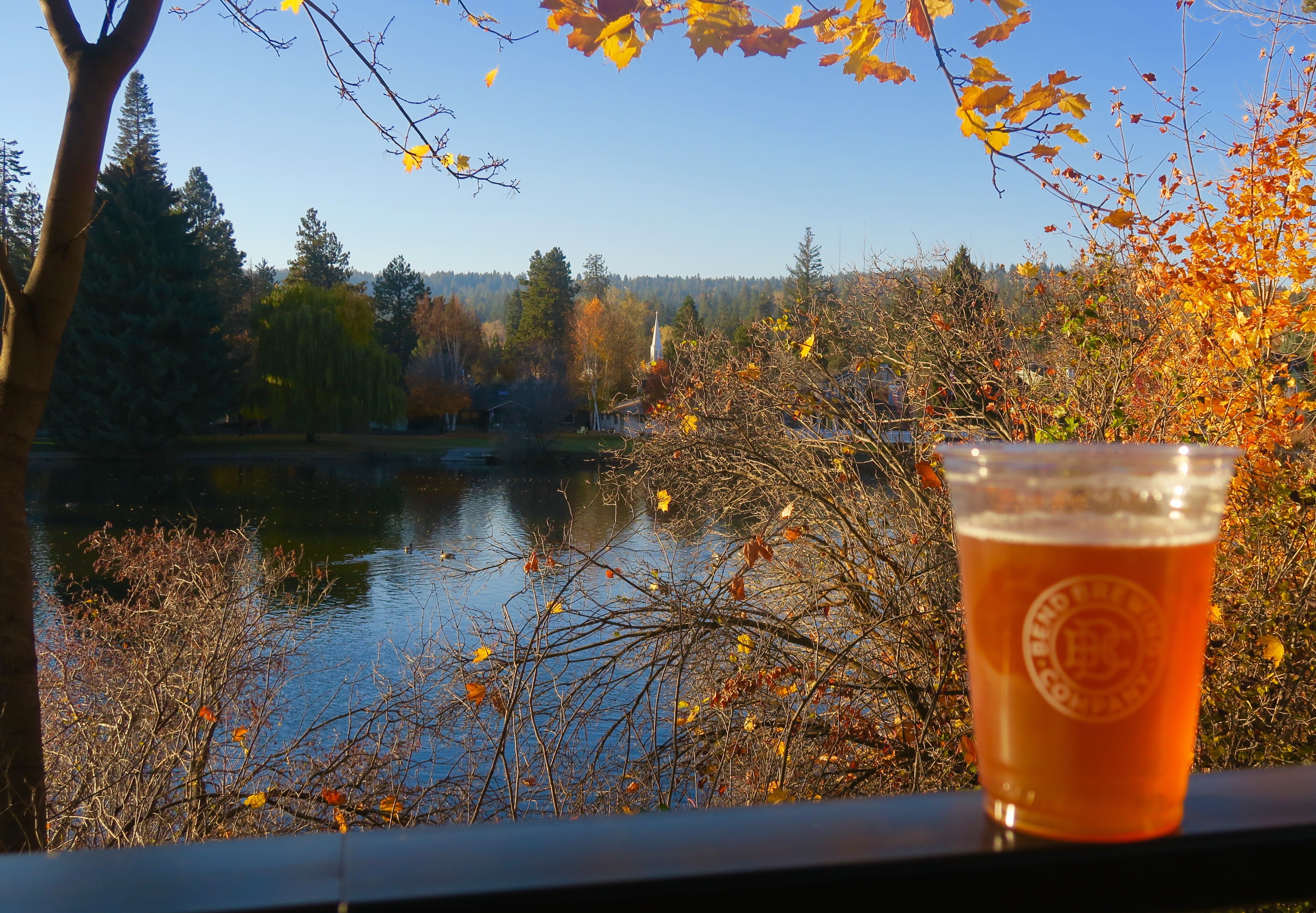 Overlooking Deschutes River, Bend