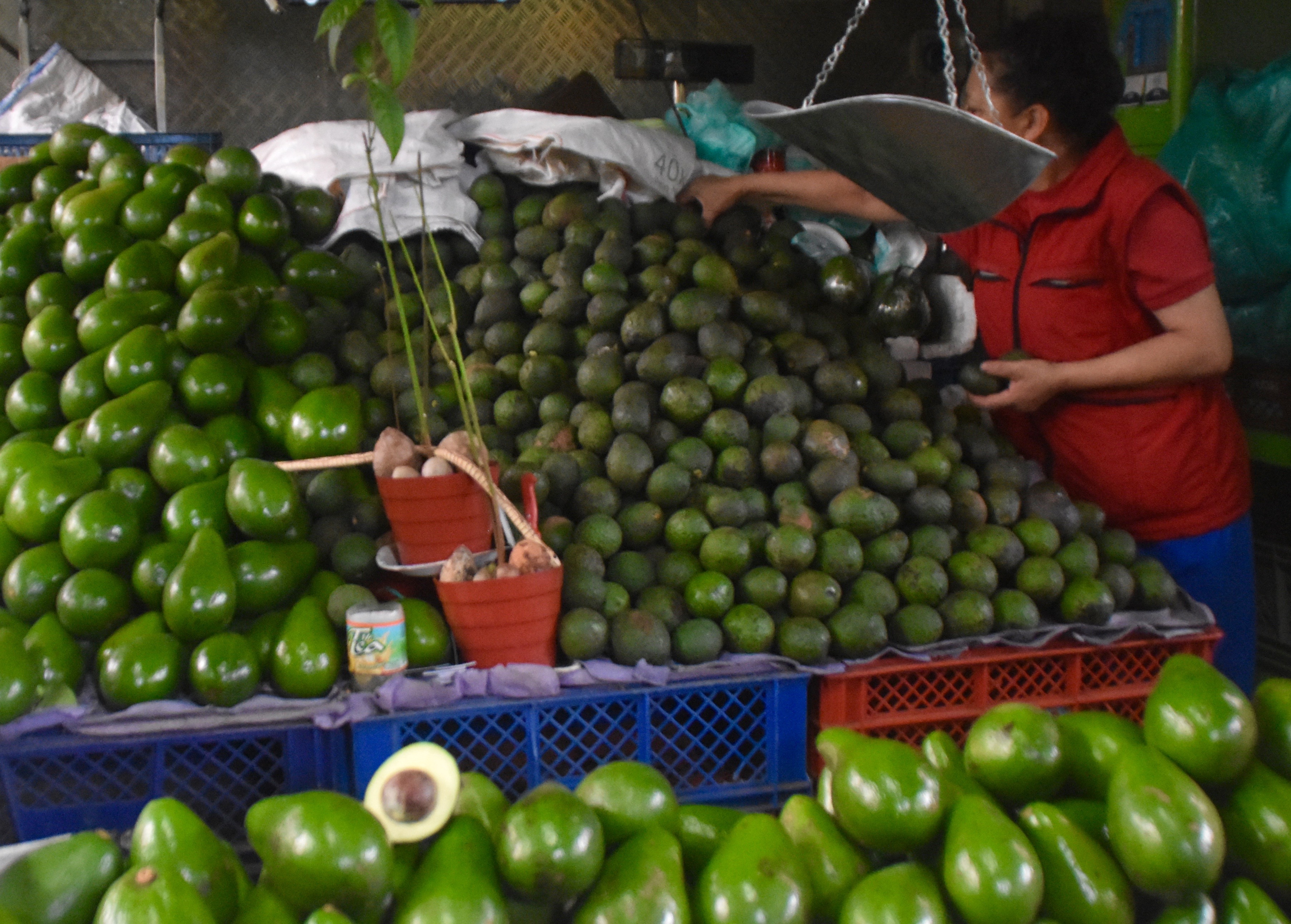 Bogota Market