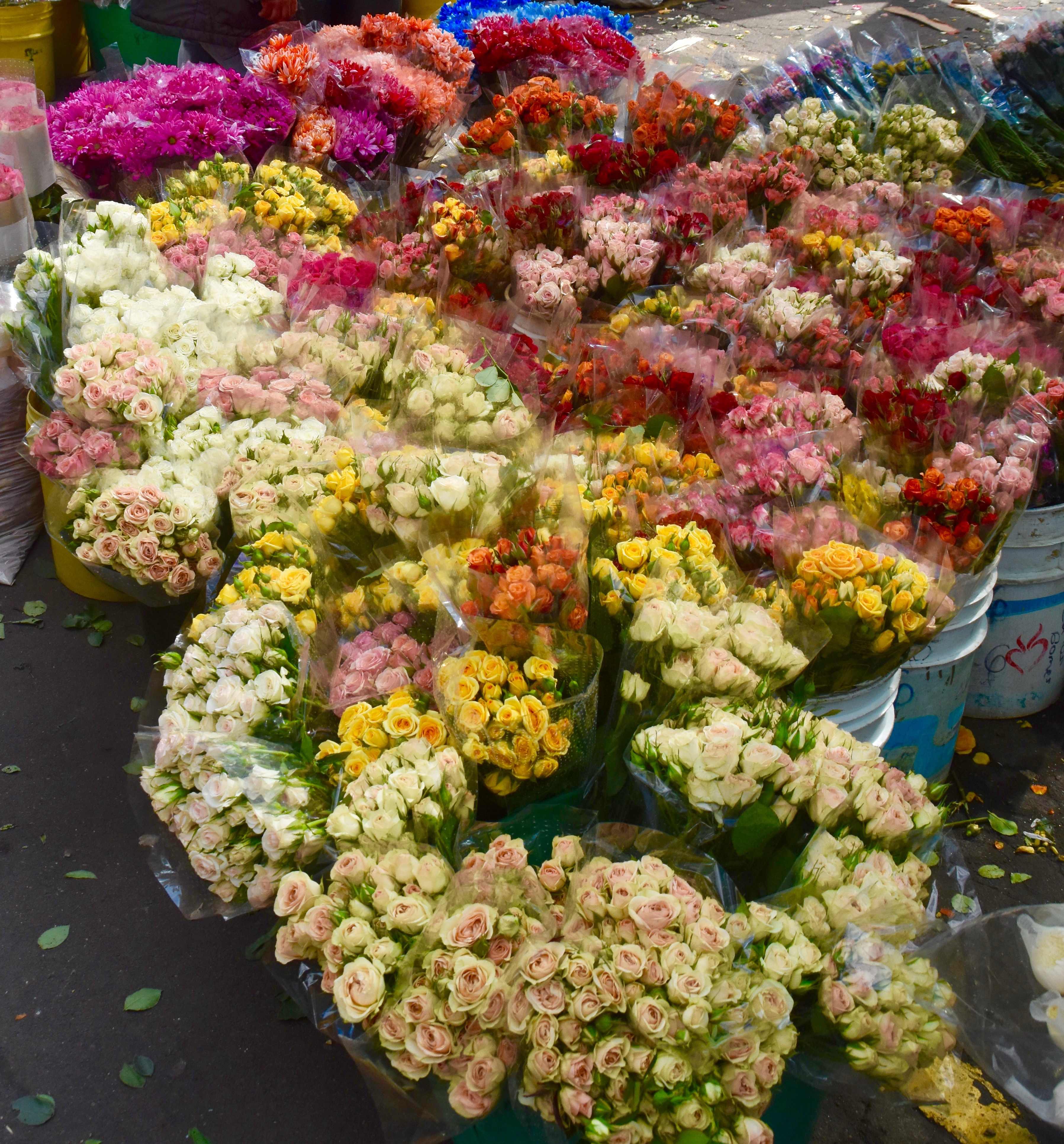 Bogota Market