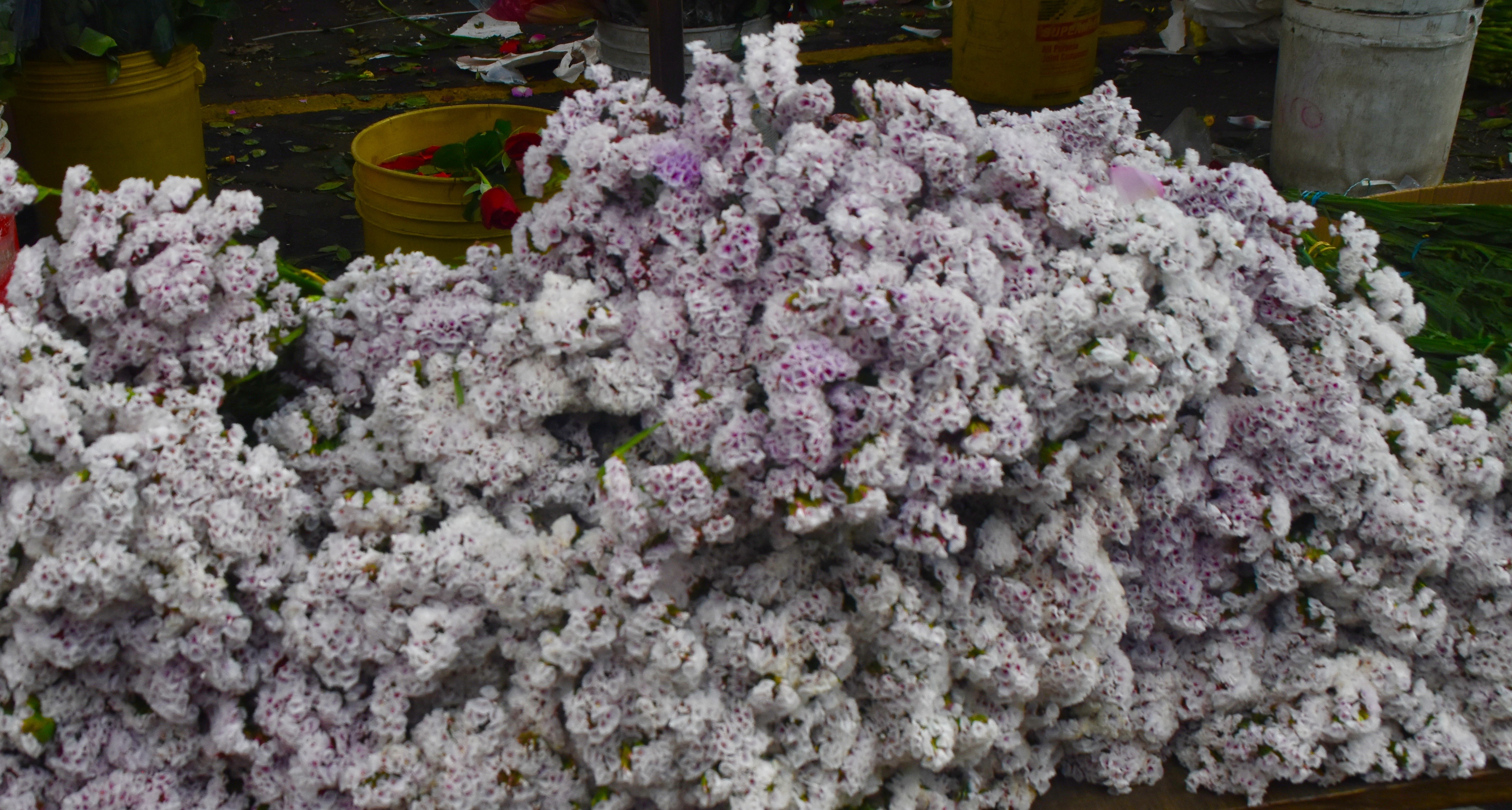 Bogota Market