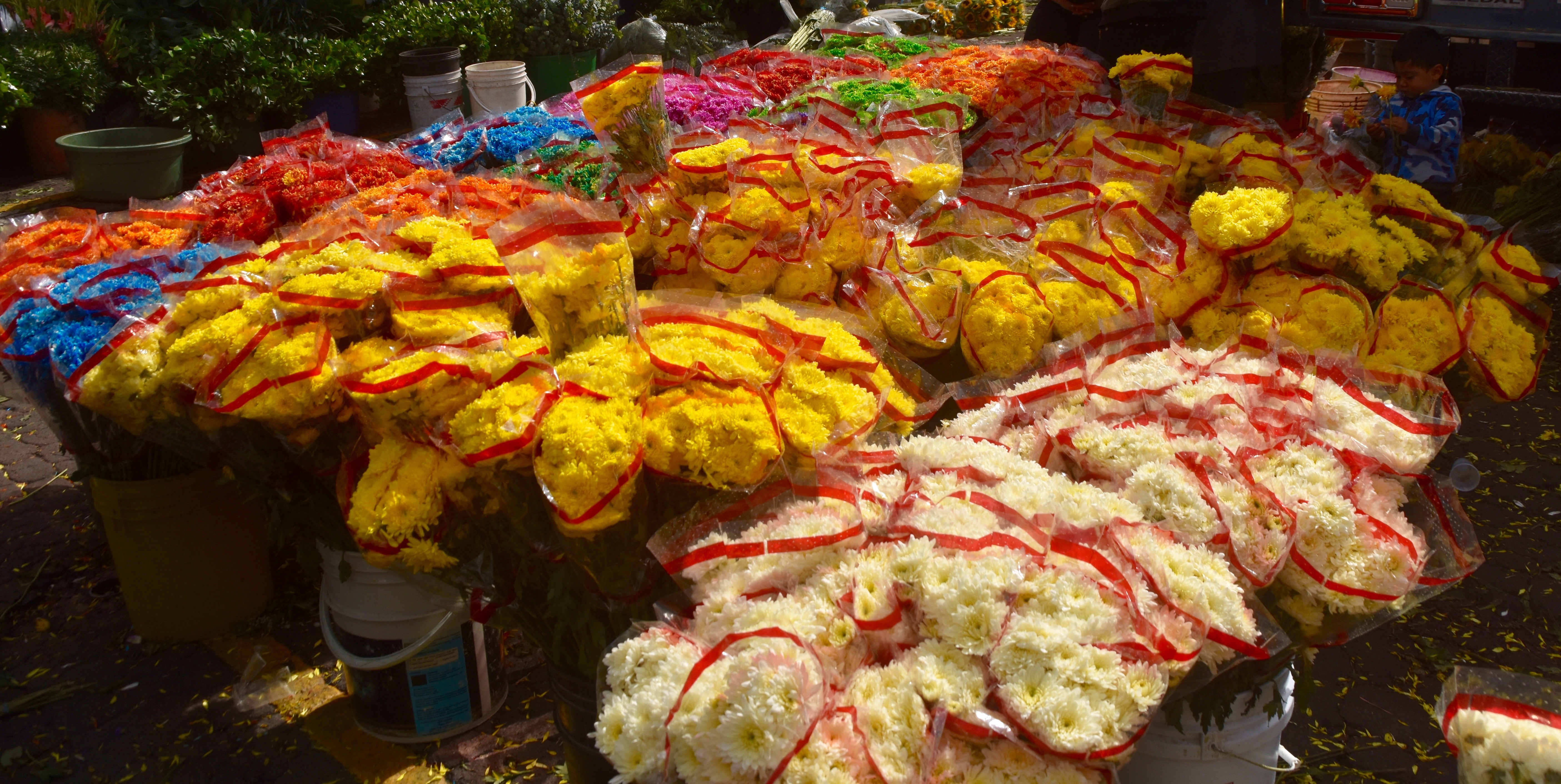 Bogota Flower Market