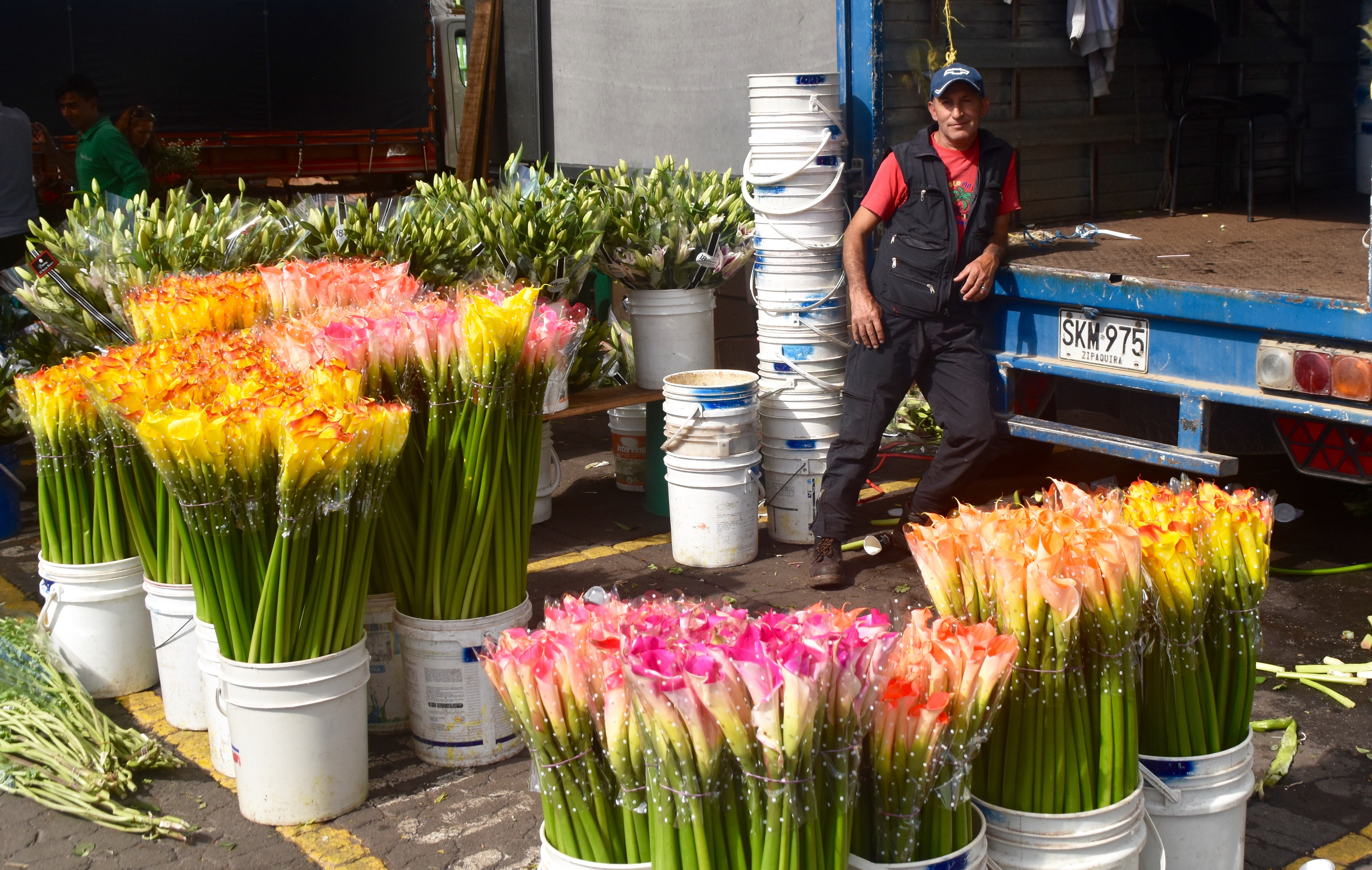 Calla Lily Vendor, Bogota Market