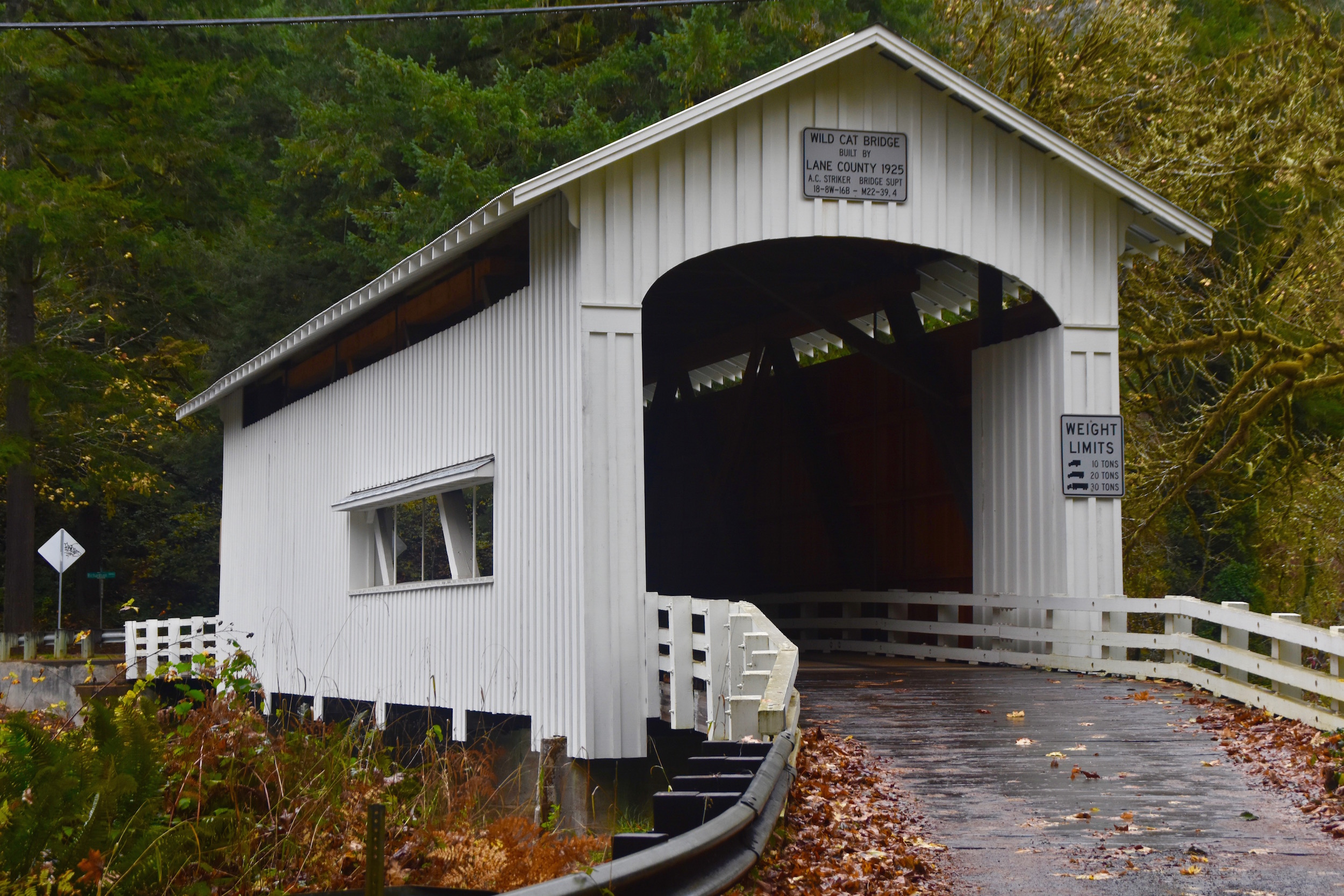 Wild Cat Bridge, Lane County, Oregon