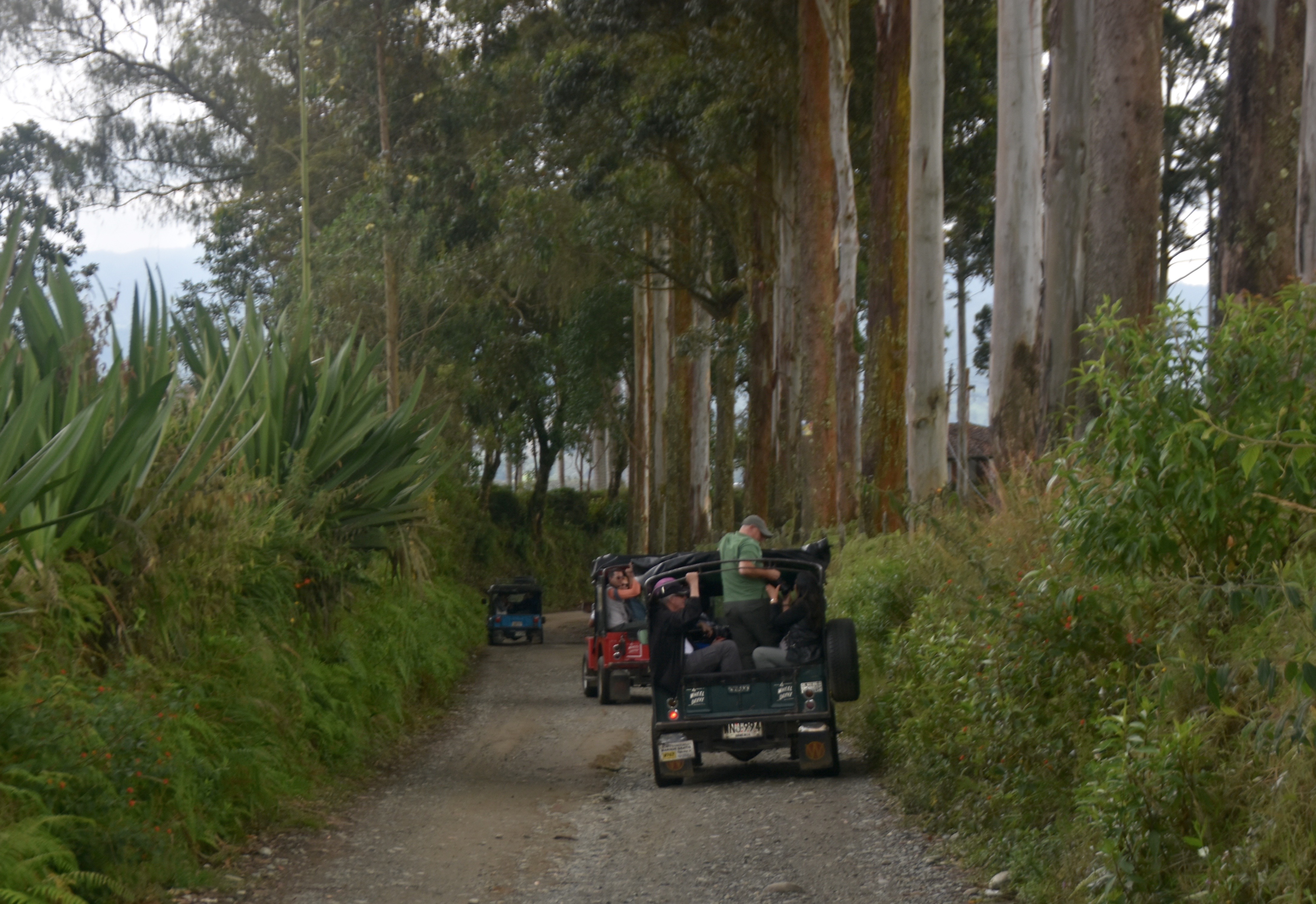 On the Way to El Ocaso Finca