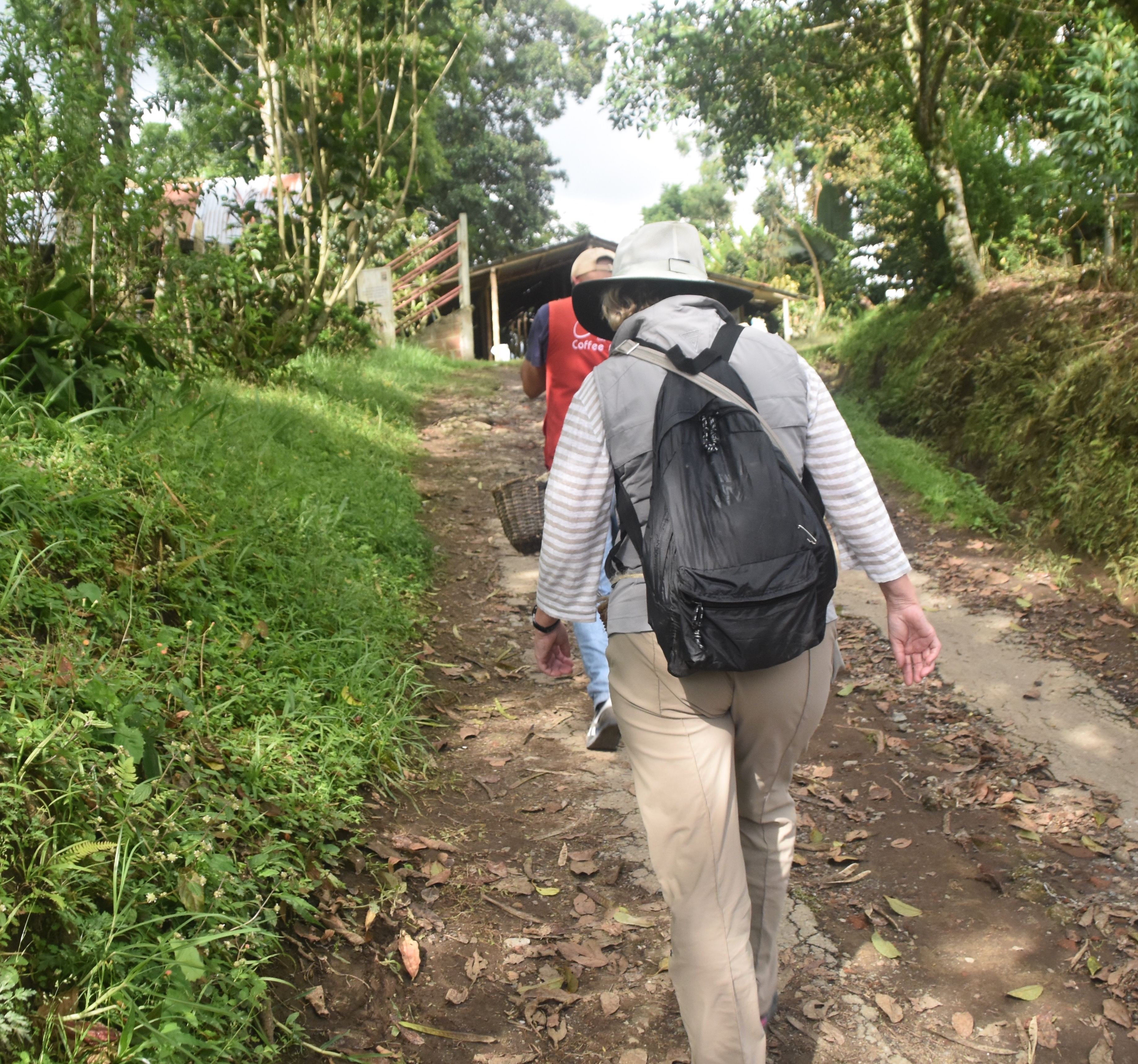 On the Way to the Coffee Fields, El Ocaso