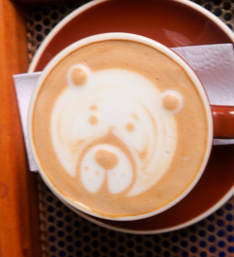 Macchiato Bear