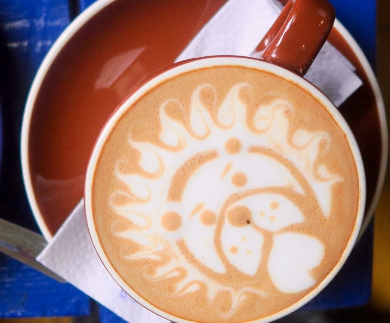 Macchiato Lion