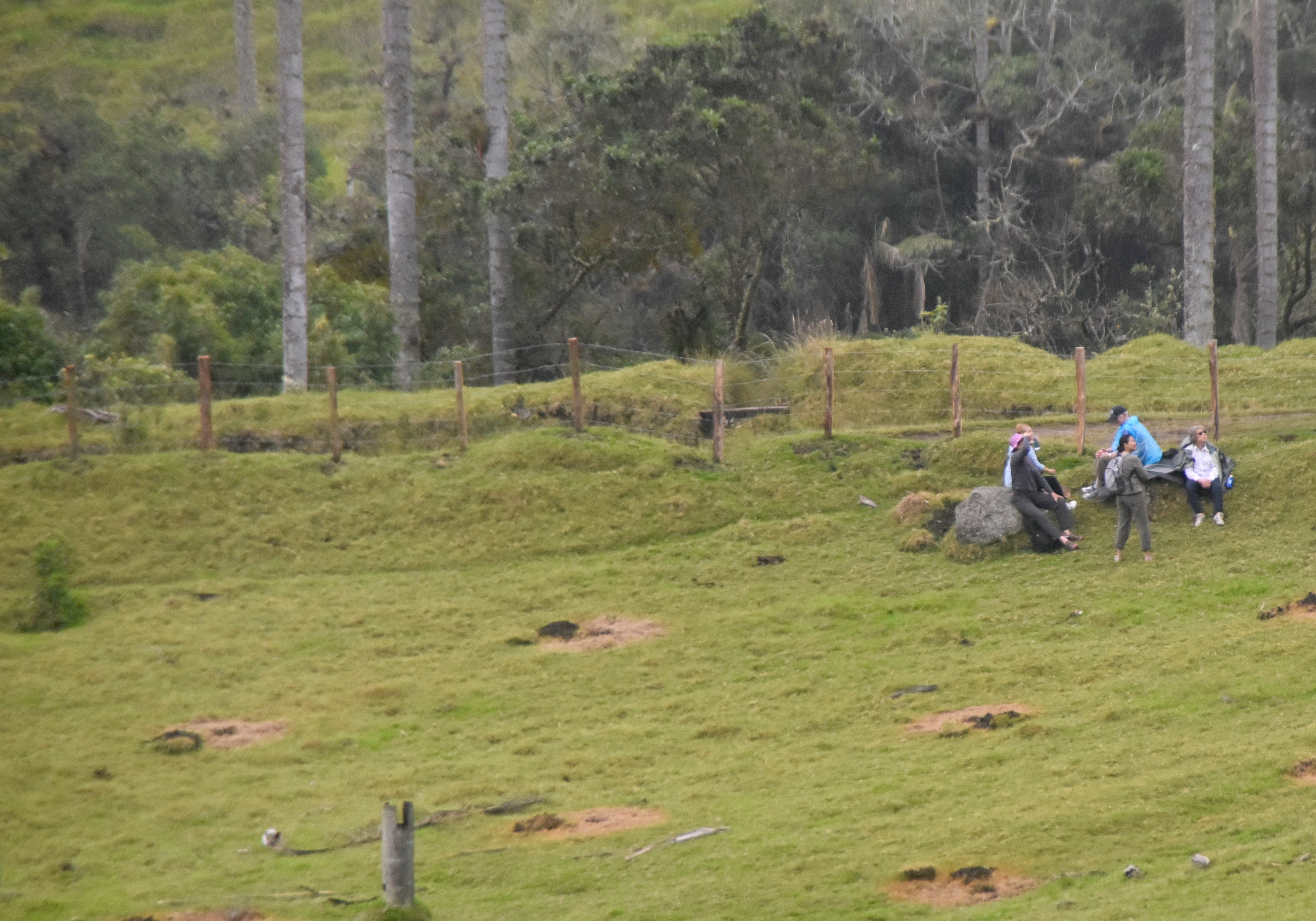 Rest Break in the Valle de Cocora