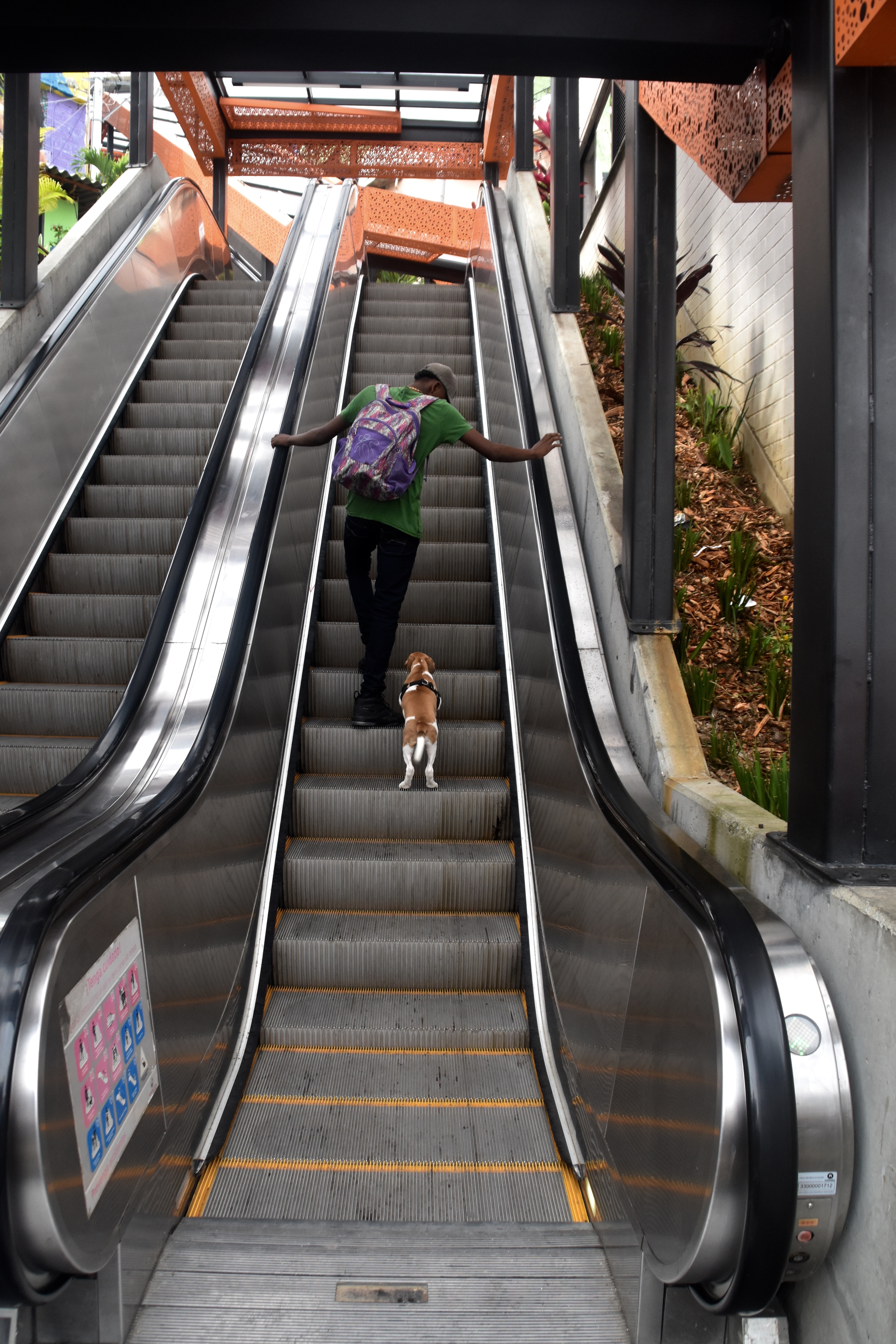 Dog on an Escalator, Commune 13