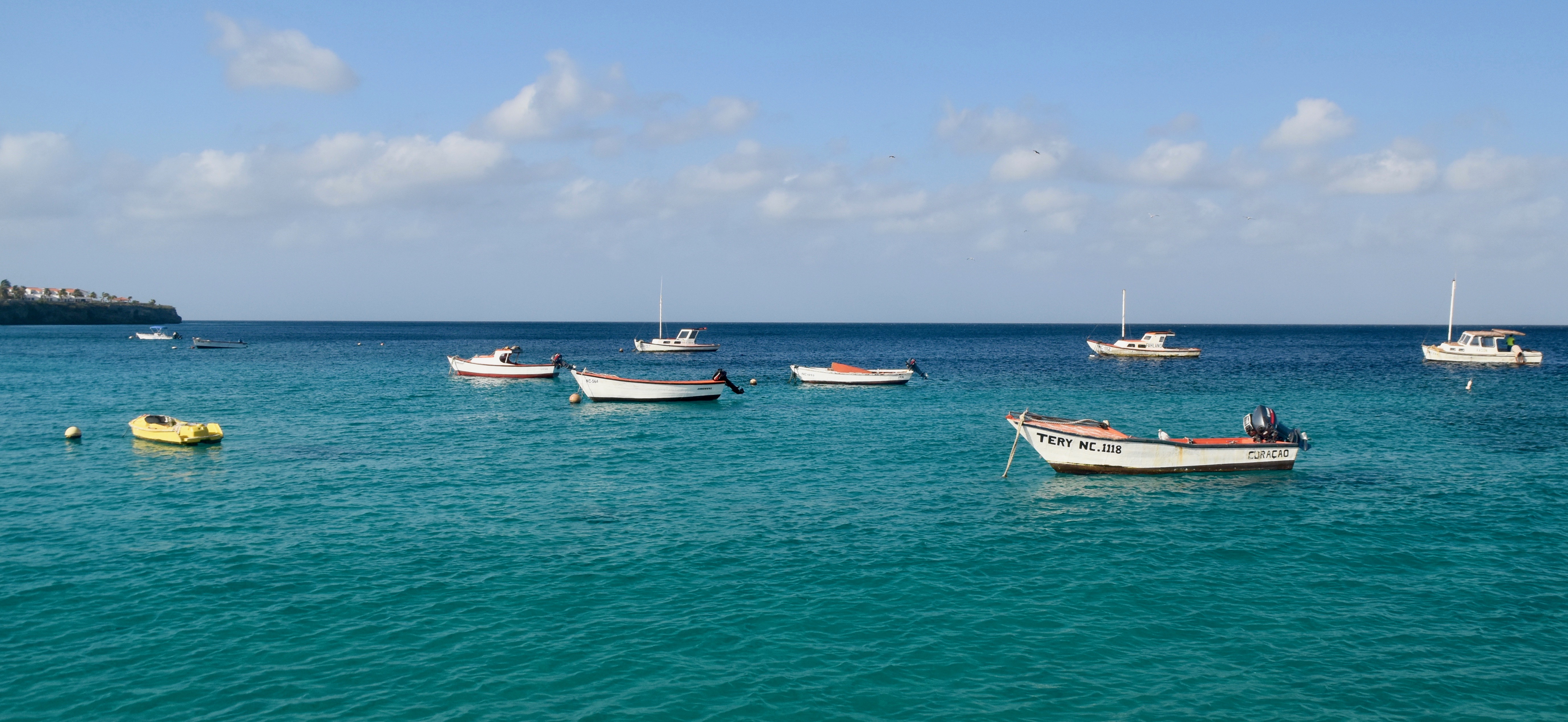 Inside A Bait Ball: My Gift While Snorkeling Curaçao — Deviating the Norm