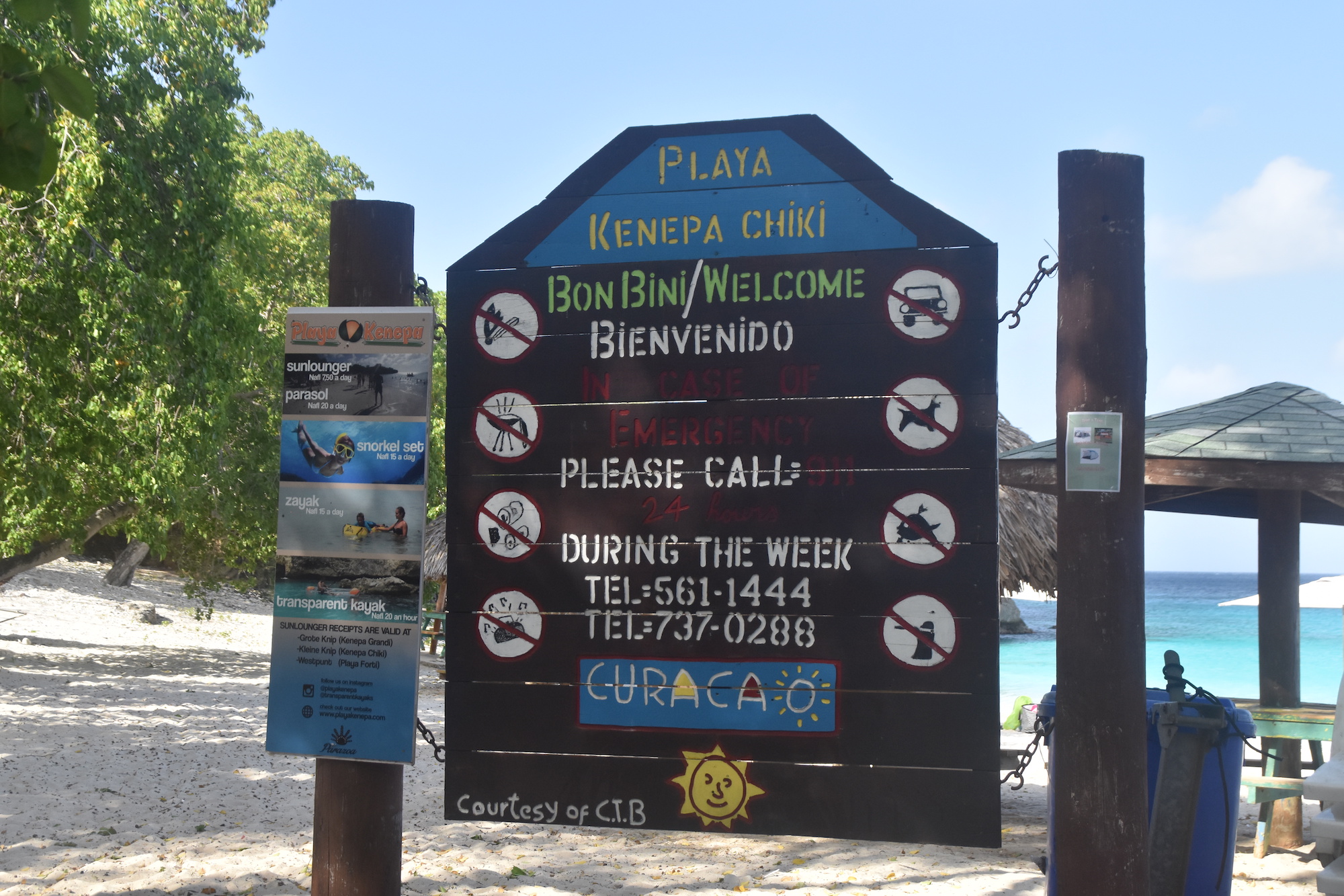 Inside A Bait Ball: My Gift While Snorkeling Curaçao — Deviating the Norm