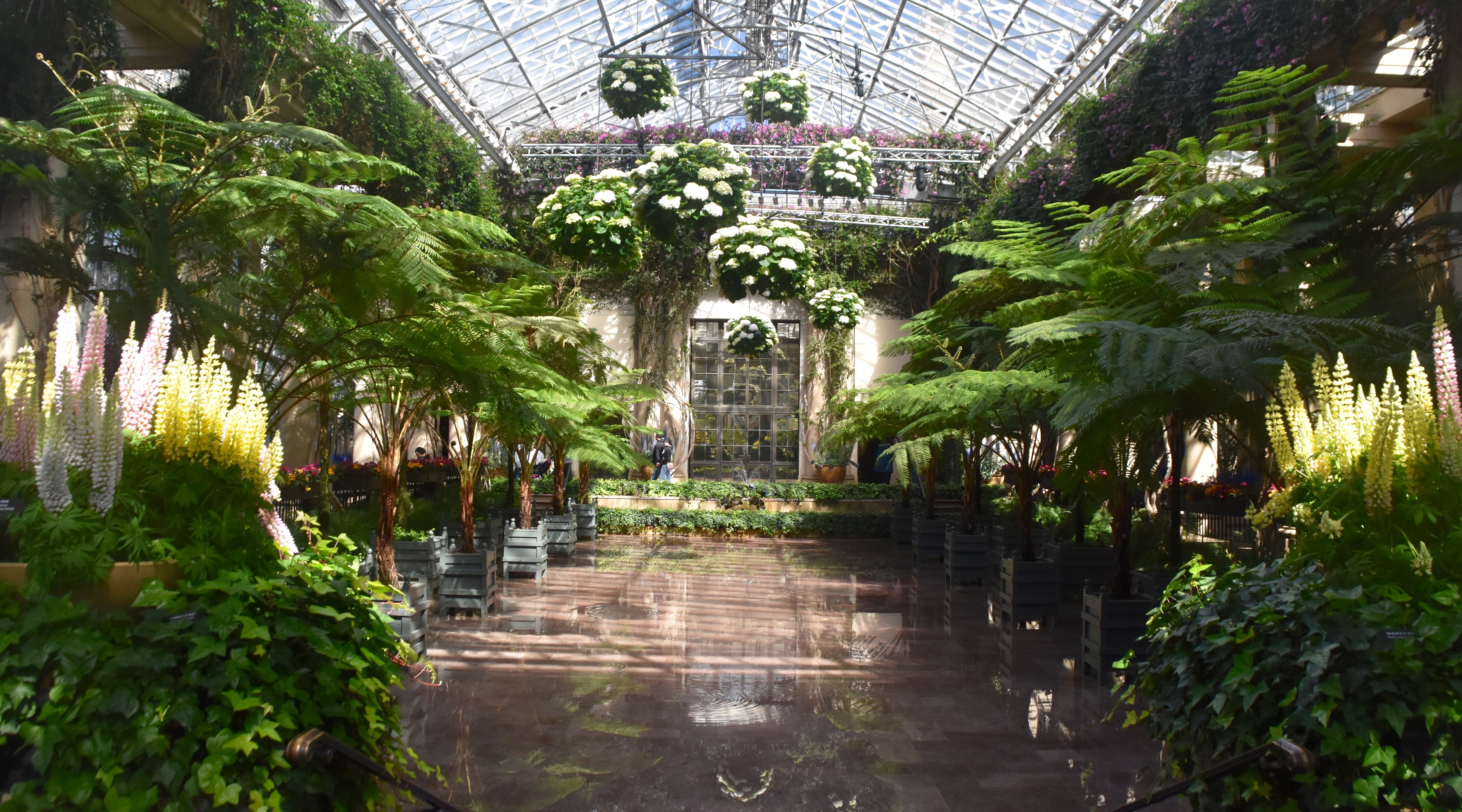 Conservatory Pool, Longwood Gardens