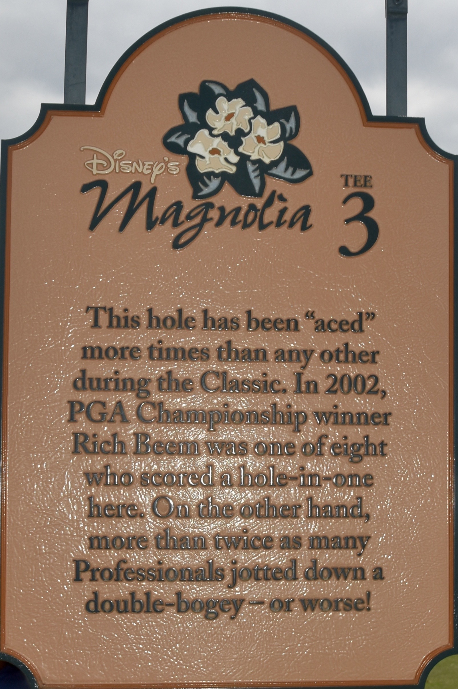 #3 Sign Disney Magnolia