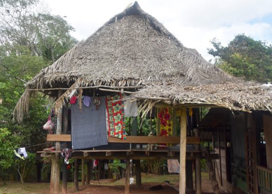 Indigenous Embera House