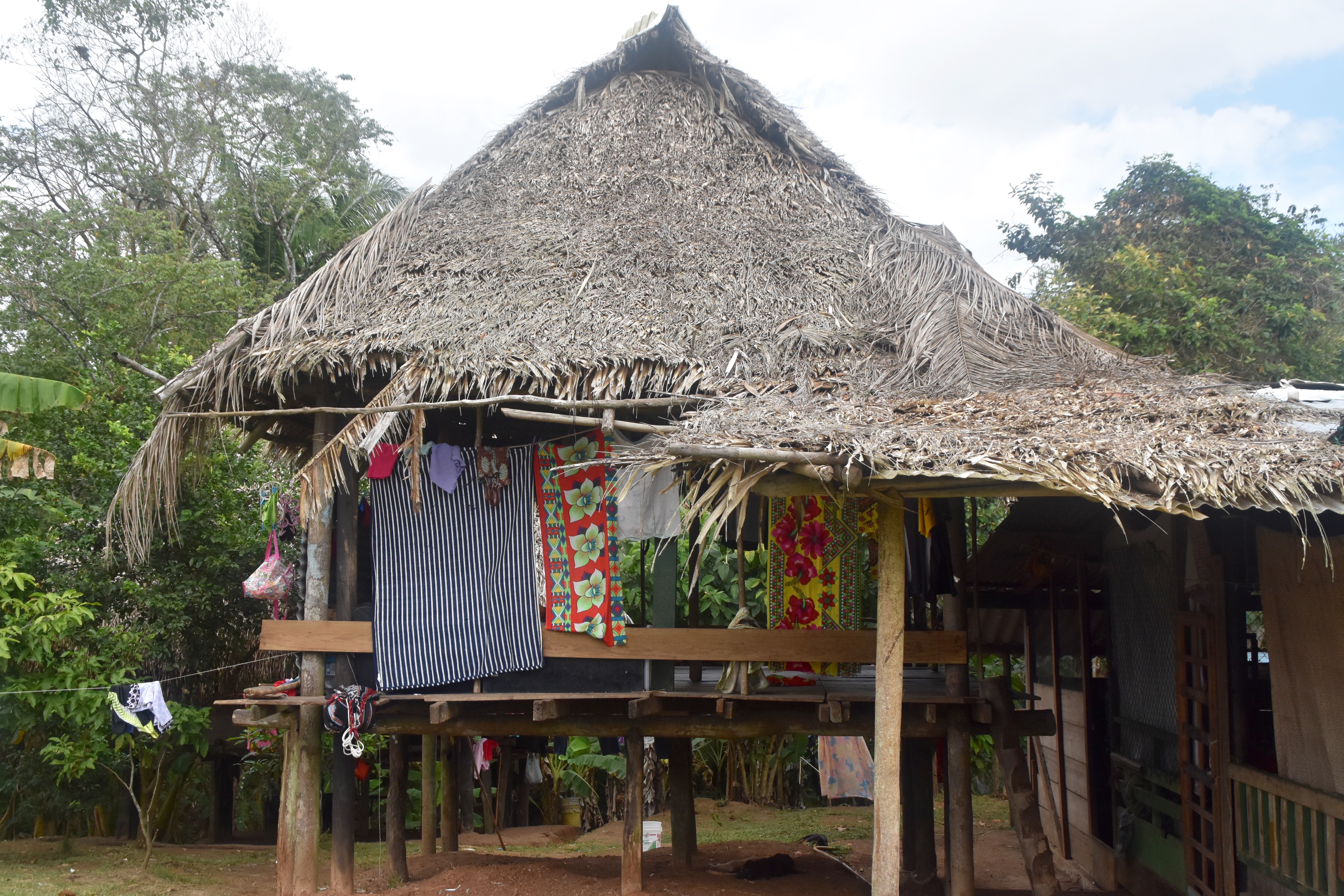 Indigenous Embera House