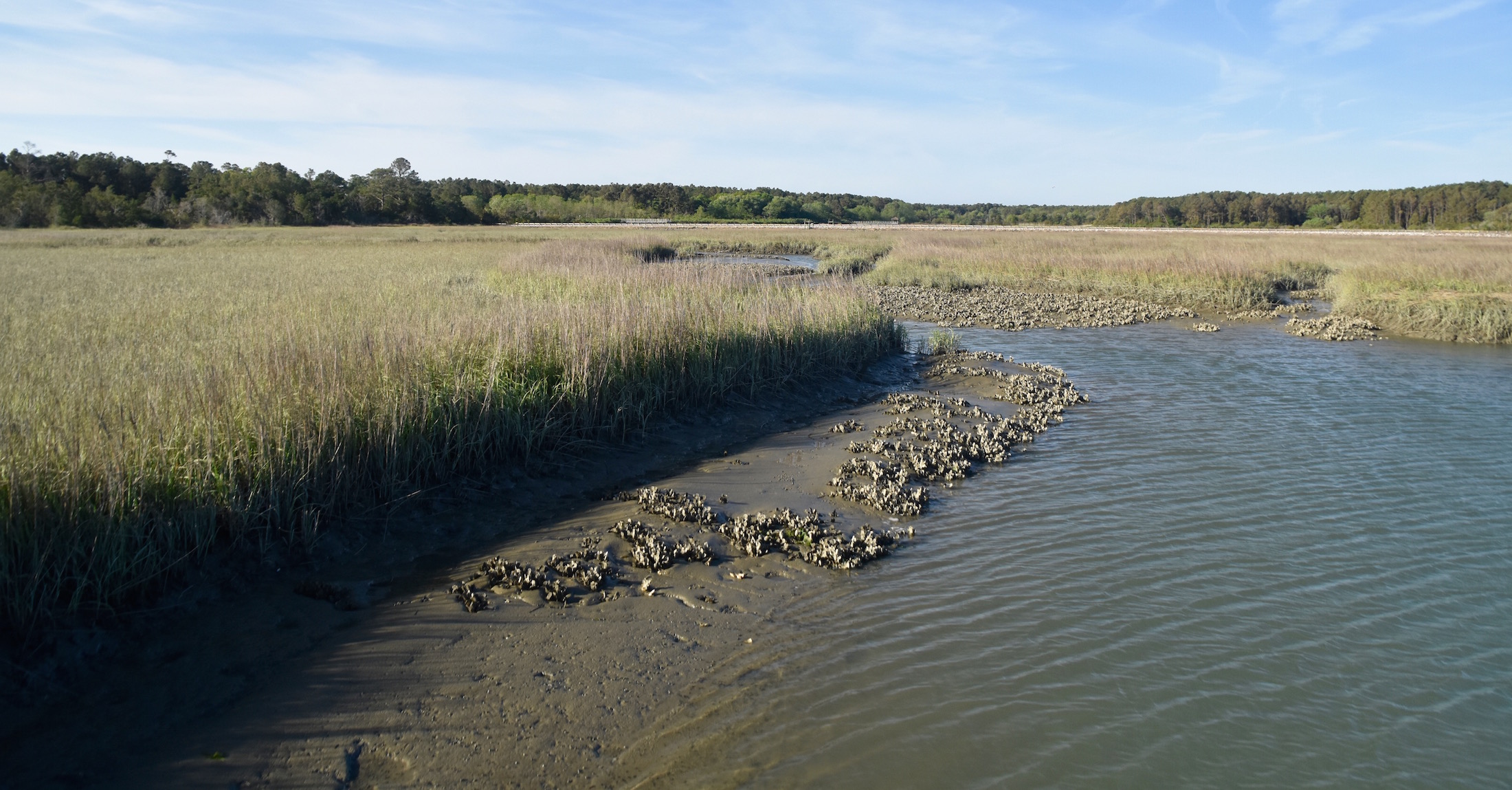 View from the Boardwalk, Huntington Beach State Park