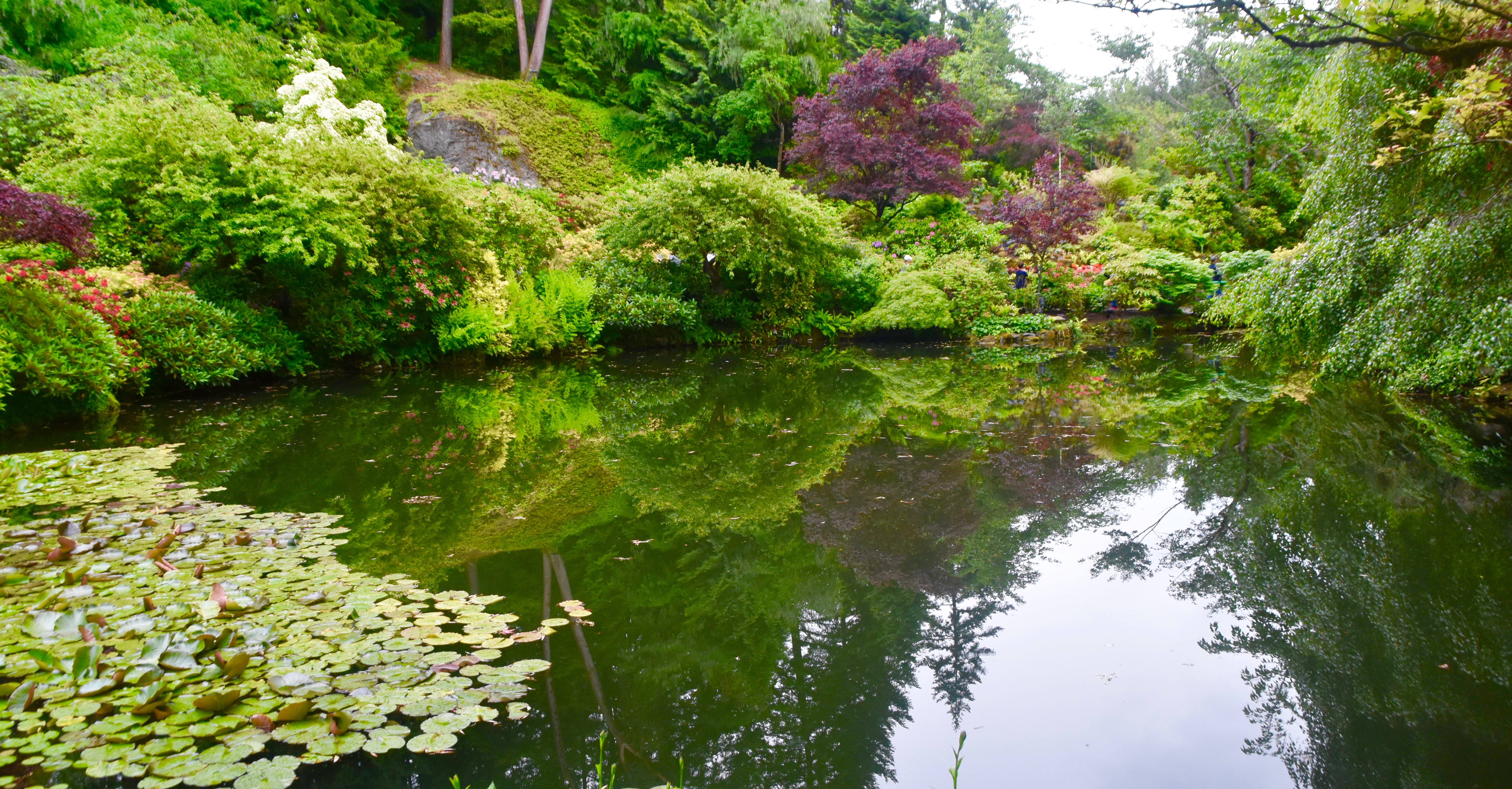 Sunken Gardens Pond, Butchart Gardens