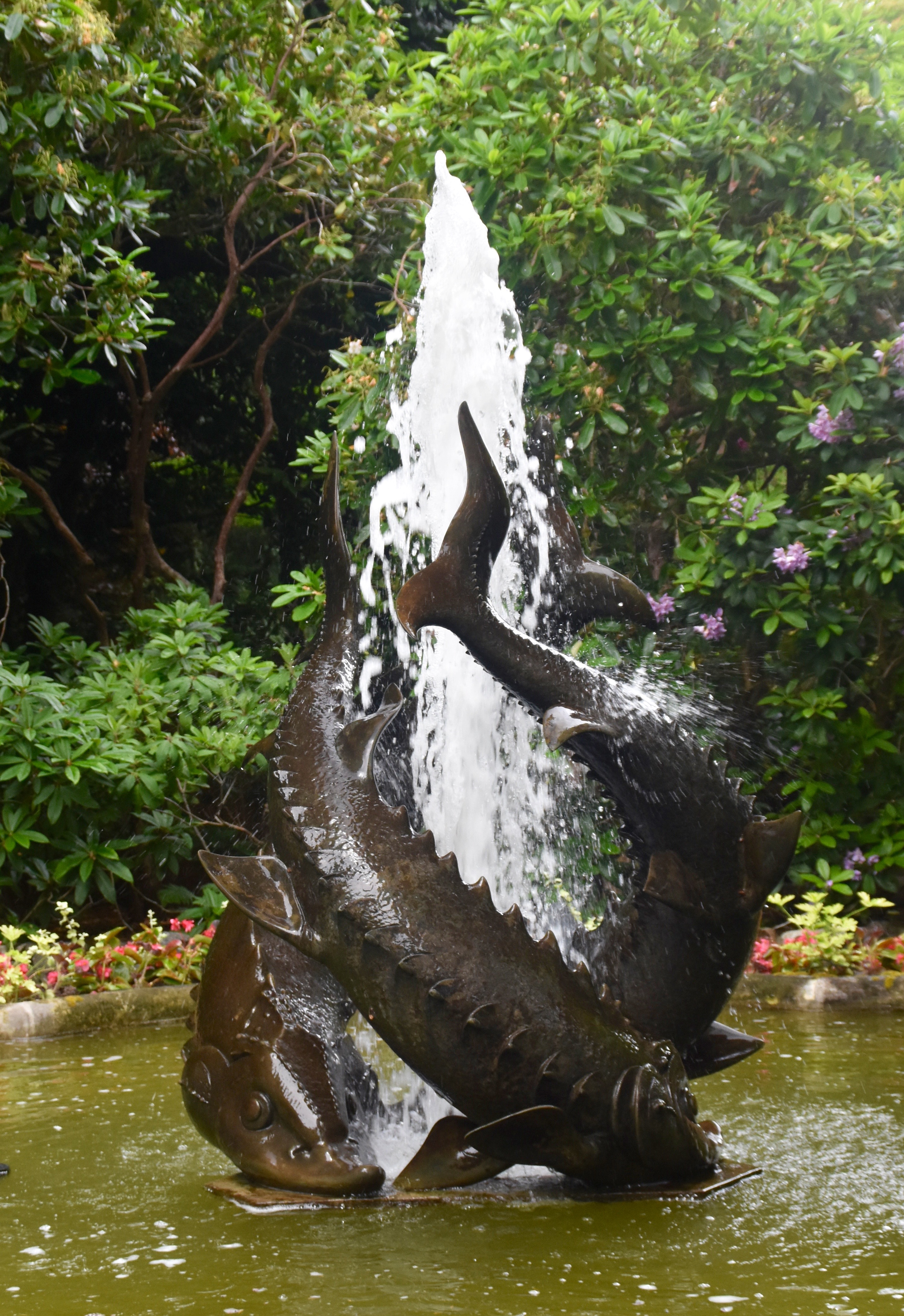 Sturgeon Fountain, Butchart Gardens