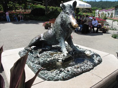 Porcellino, Butchart Gardens