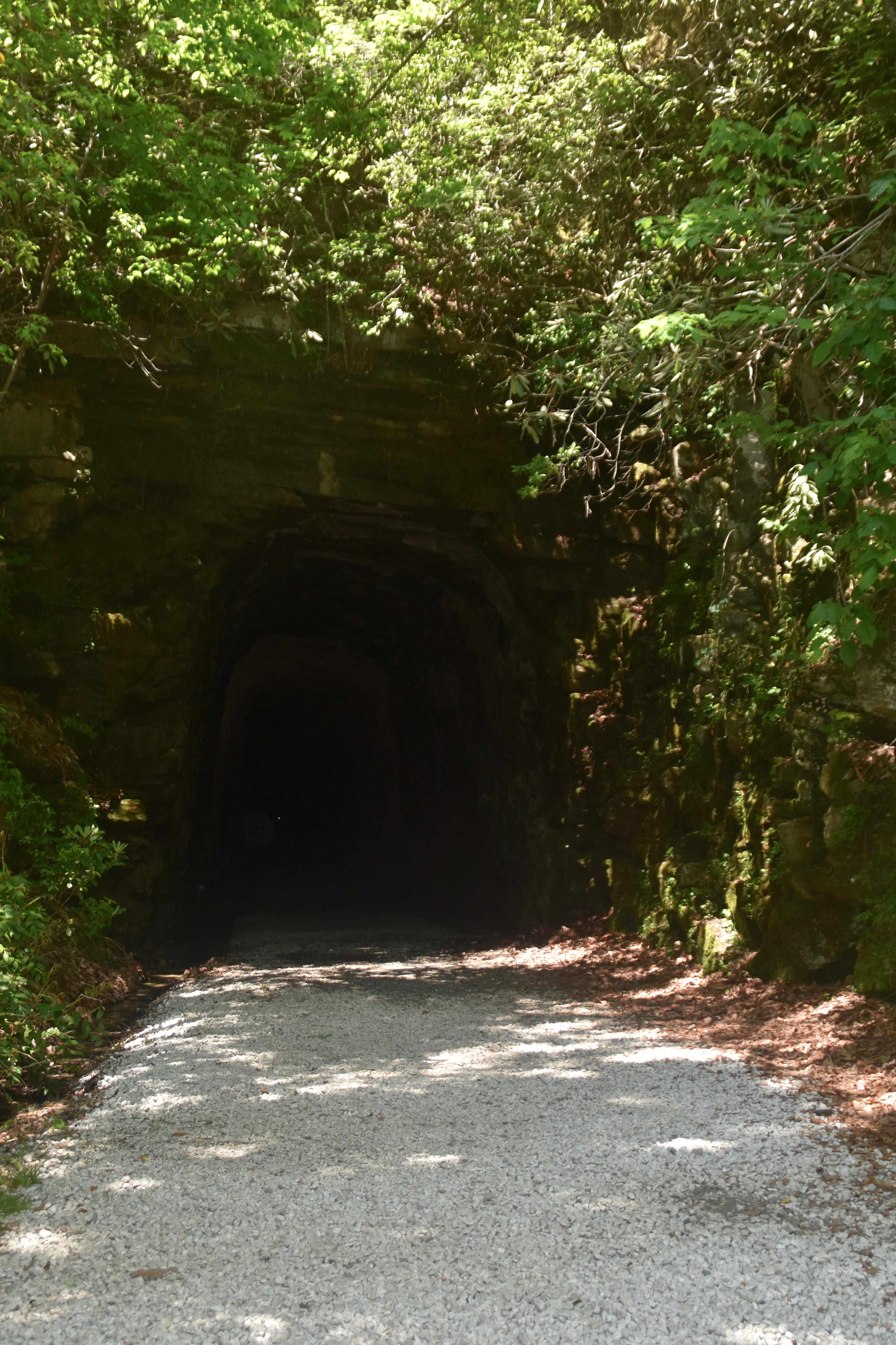 Stumphouse Tunnel, Oconee County