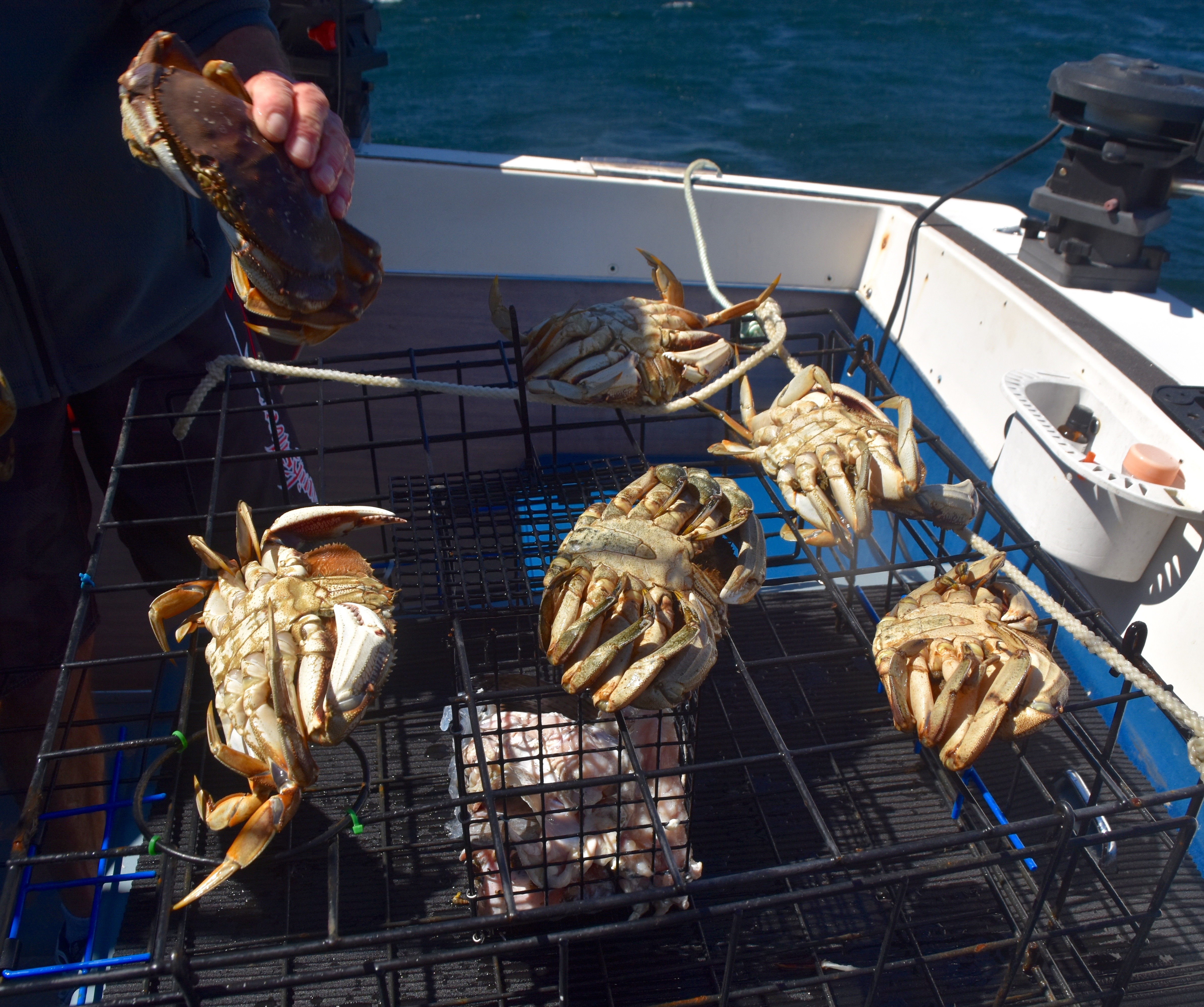 The Crab Catch, Spirit Culinary Adventures