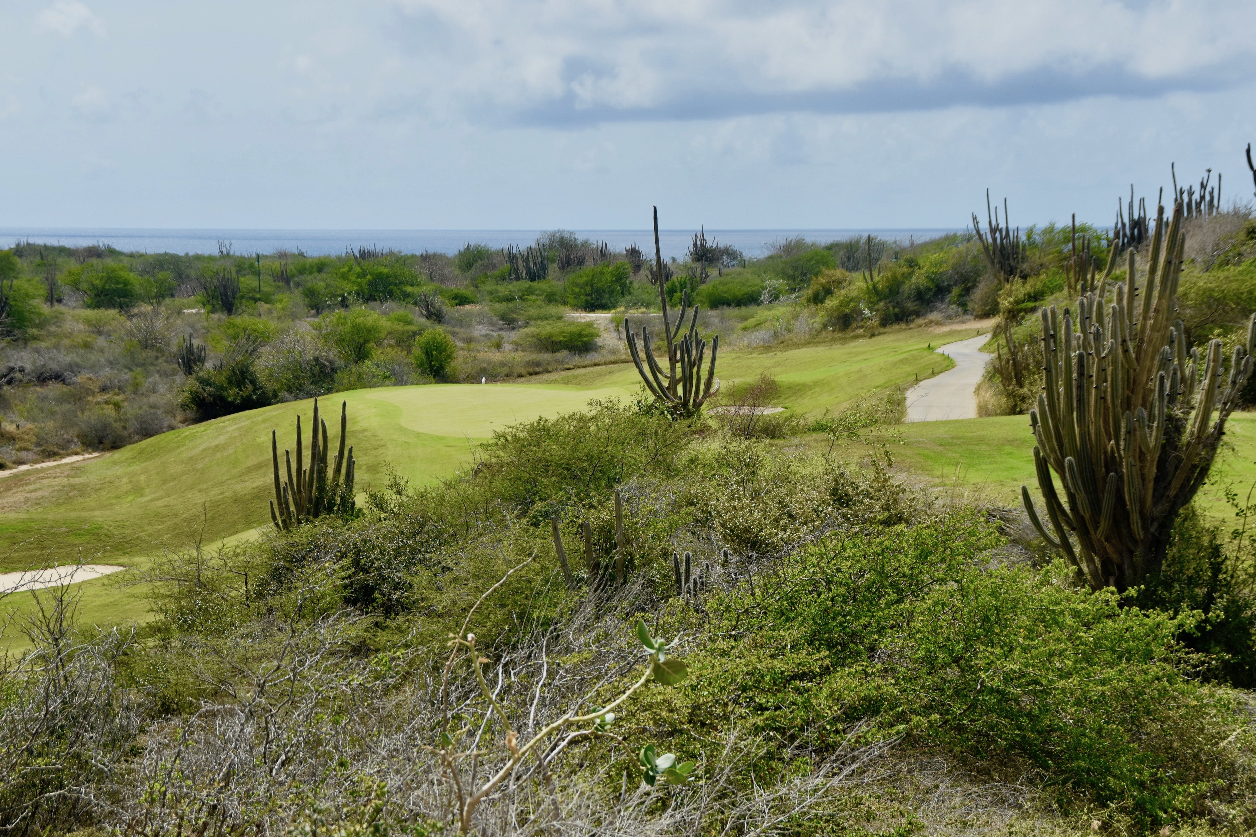 Old Quarry #16