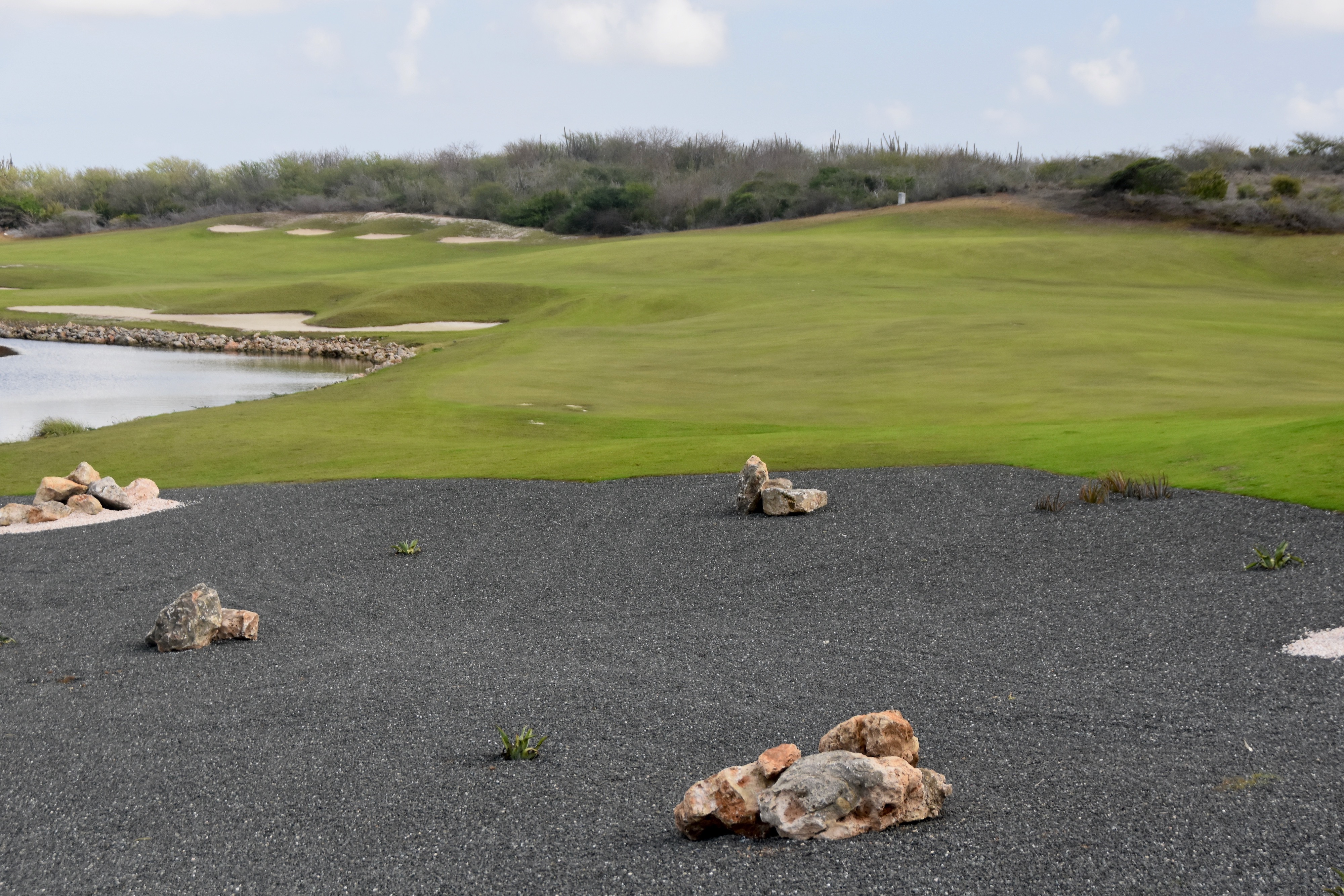 Old Quarry #8