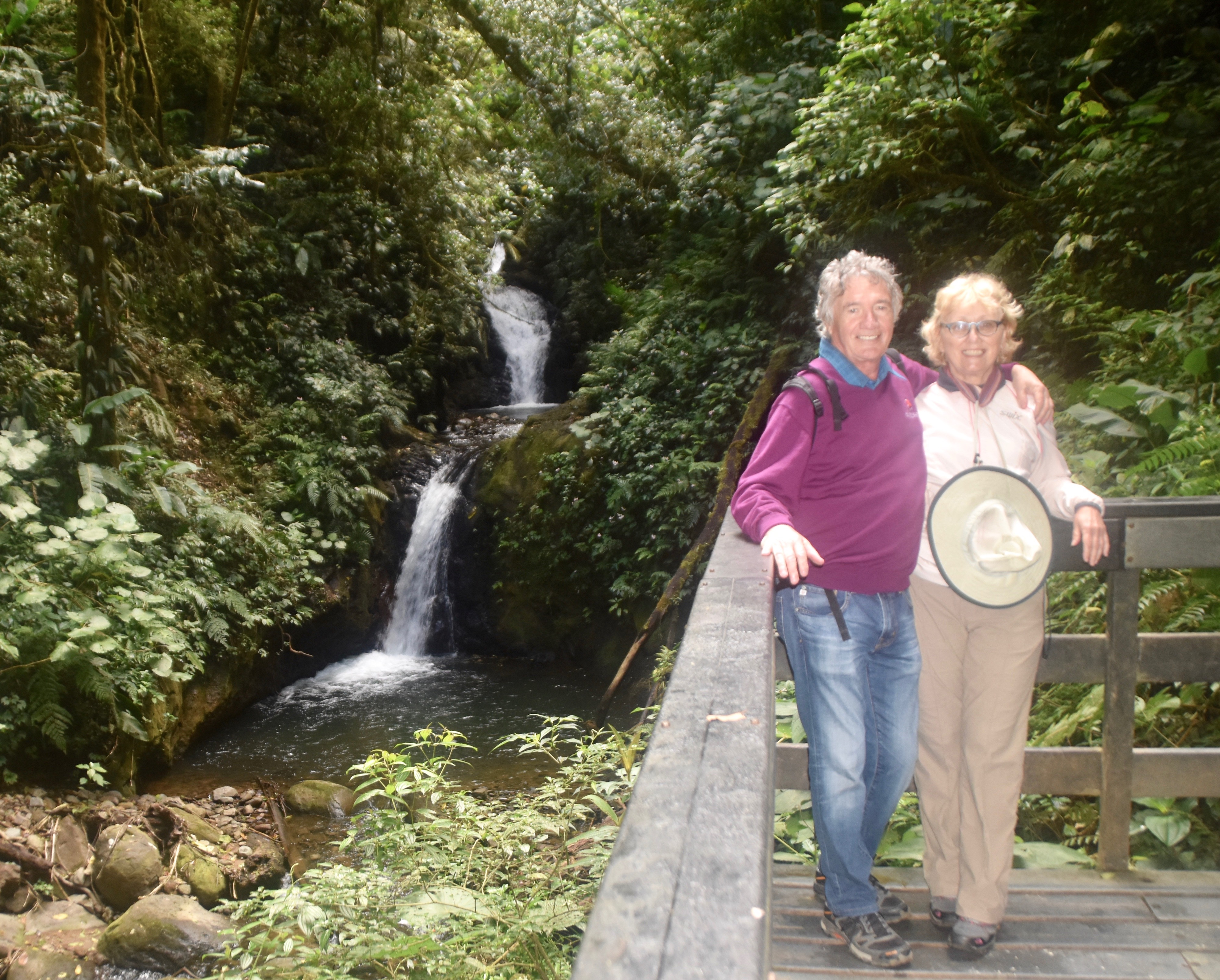 Monteverde Falls