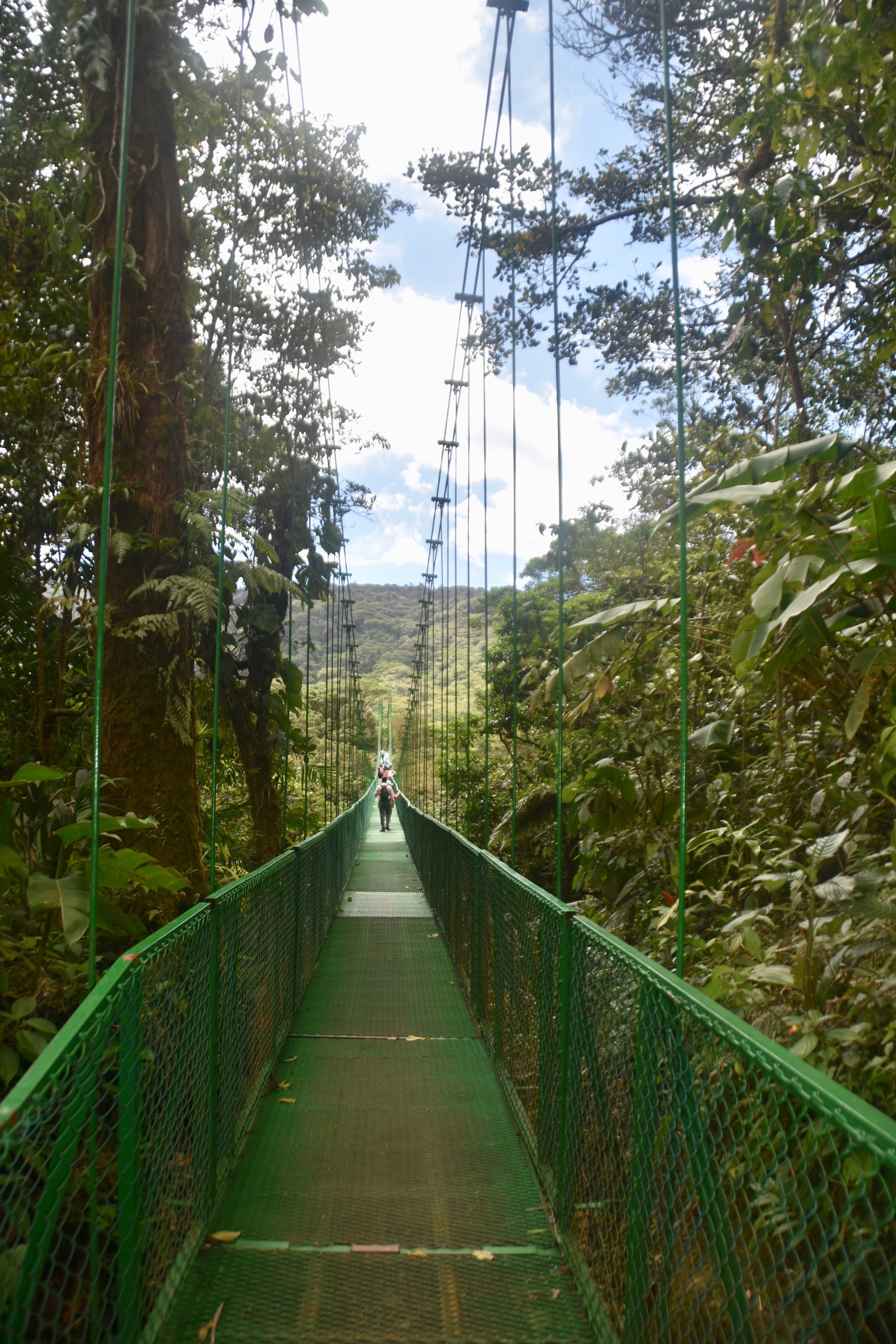 Longest Bridge at Selvatura, Monteverde Cloud Forest