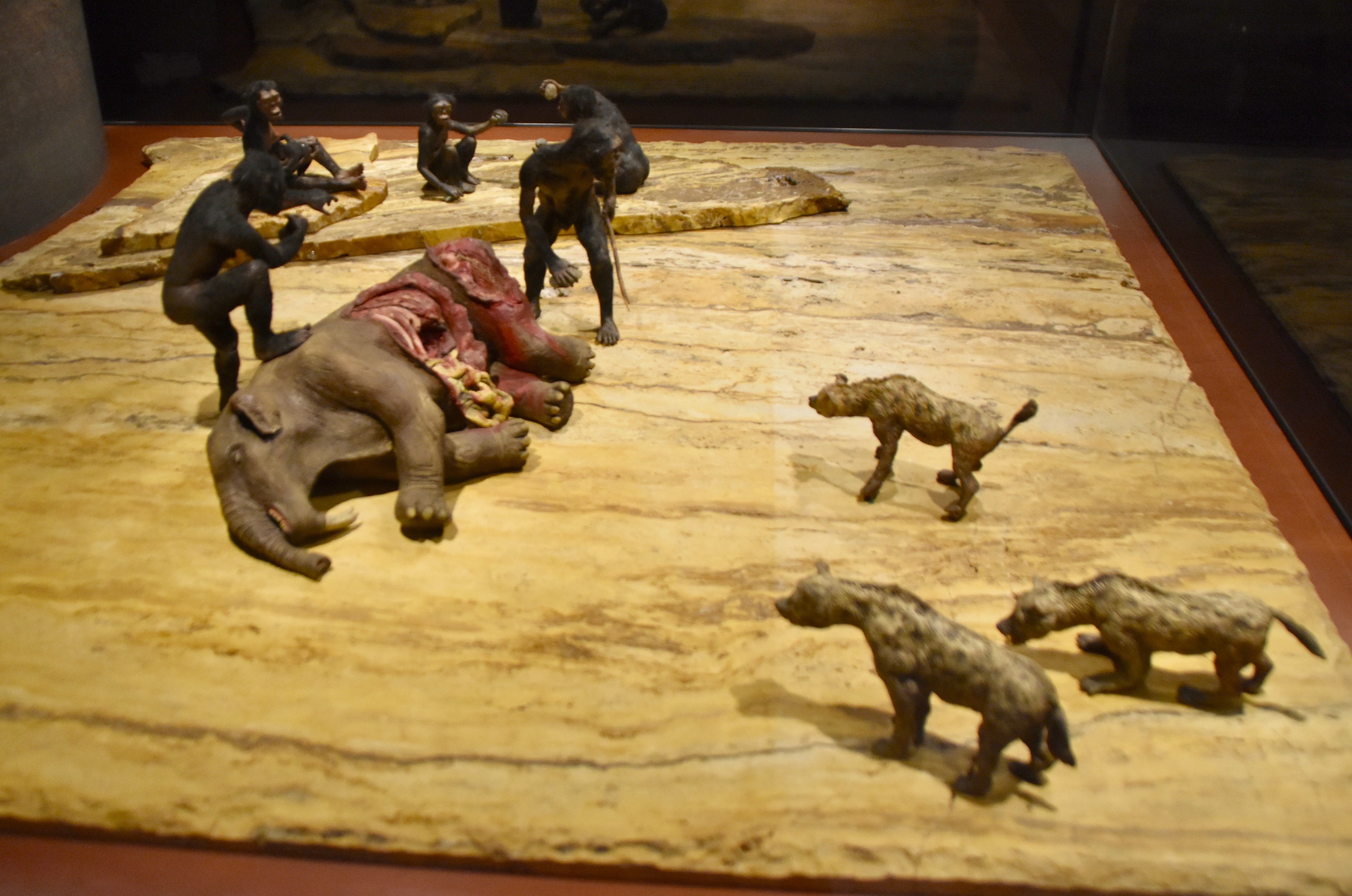 The Eating of Meat, National Anthropological Museum