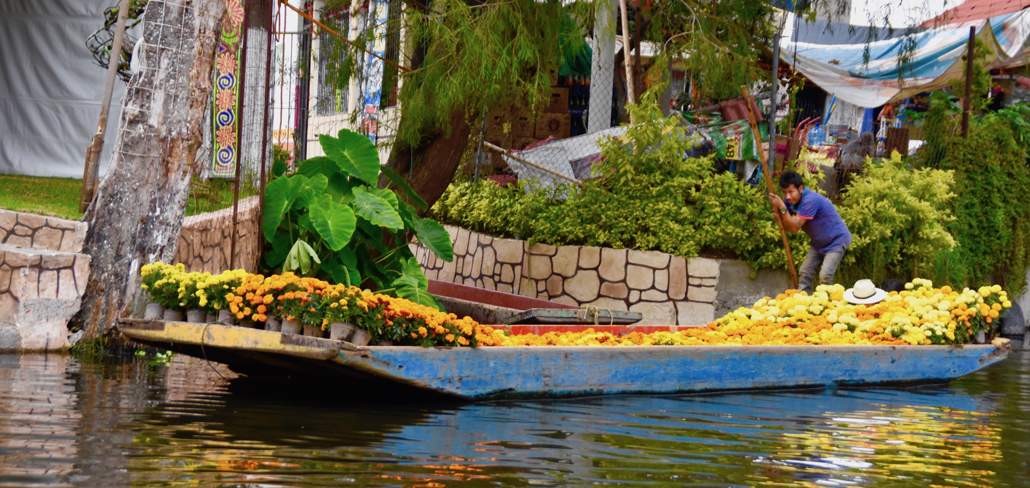  Flower Barge, Xochimilco