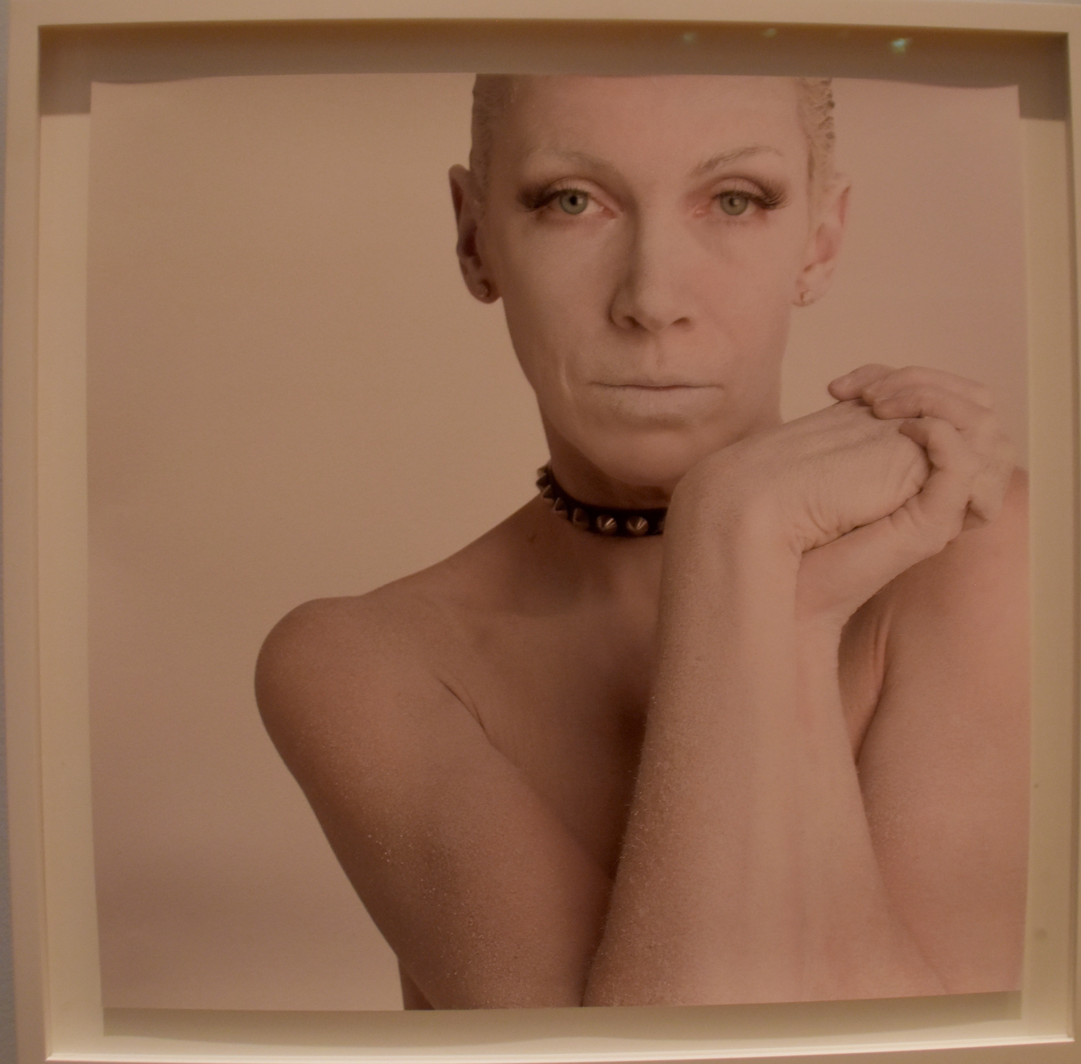 Annie Lennox, Scottish National Portrait Gallery