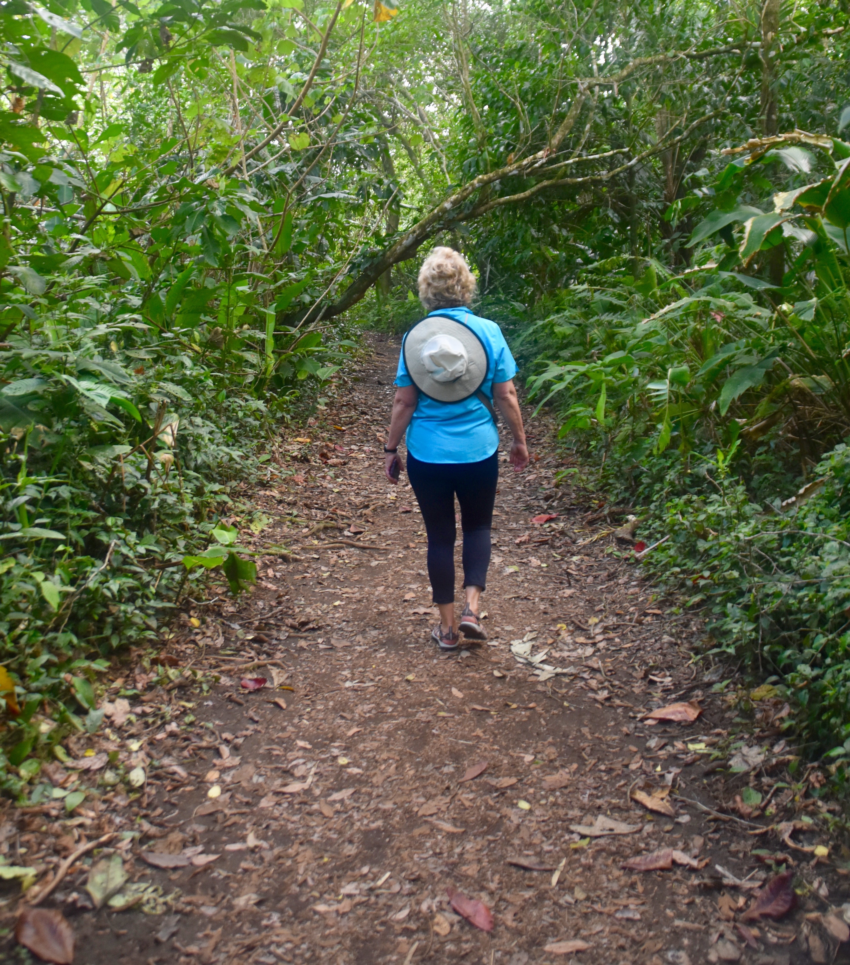 On the Jaguar Trail, Tortuguero