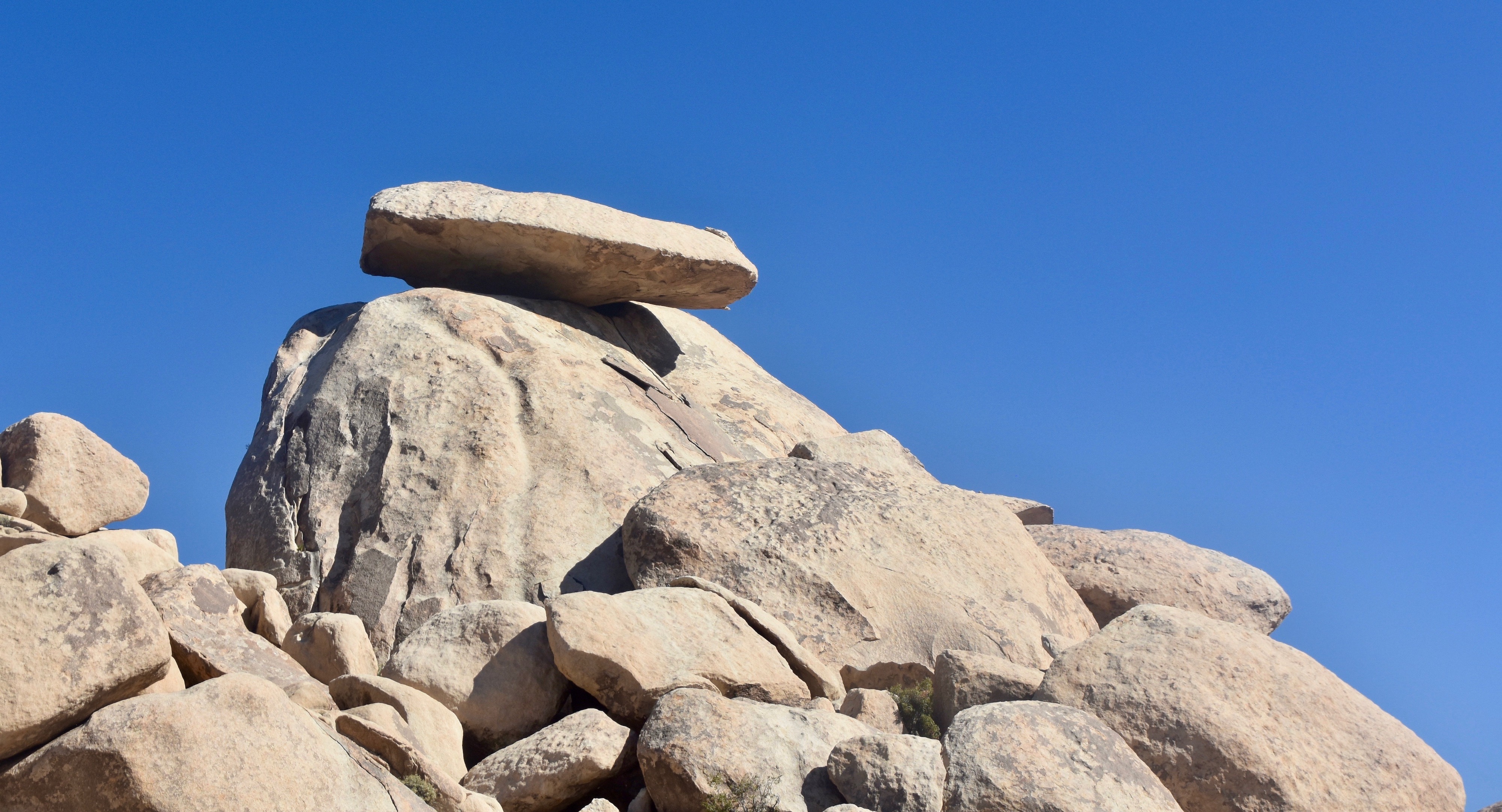 Cap Rock, Joshua Tree N.P.