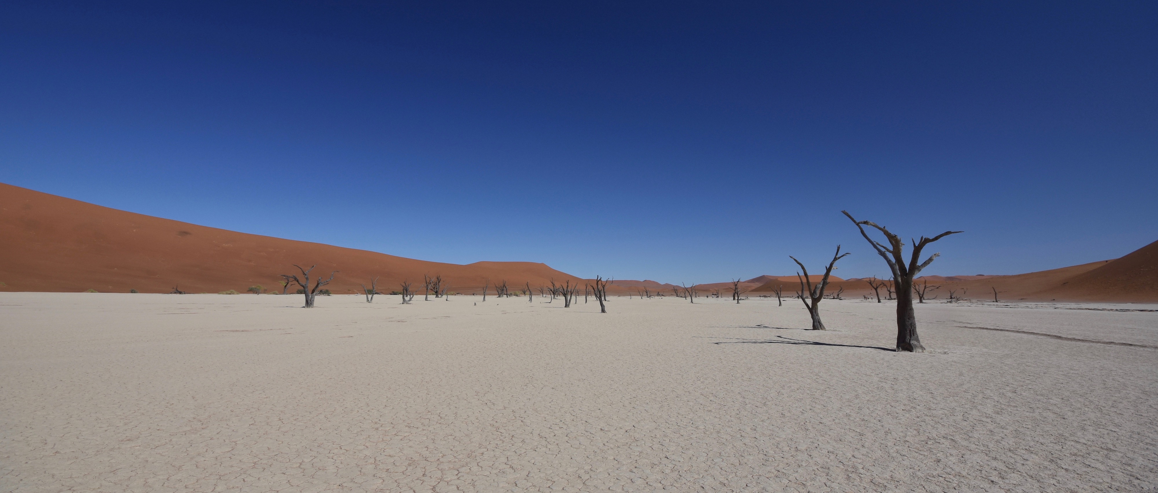 Exlporing Namibia - Deadvlei