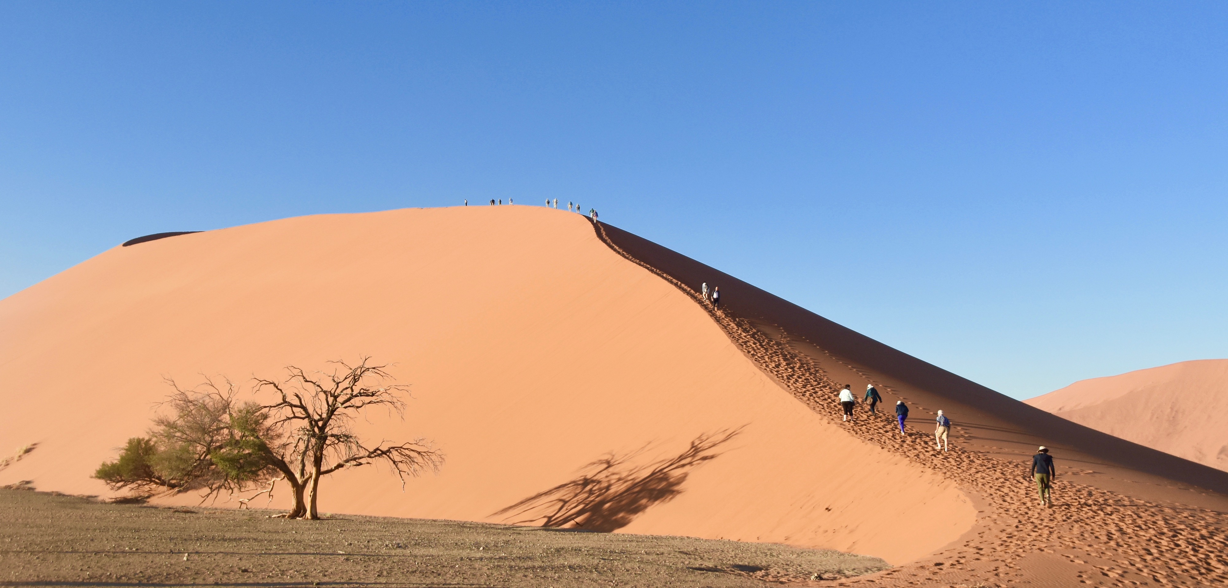 Dune 45, Sossusvlei