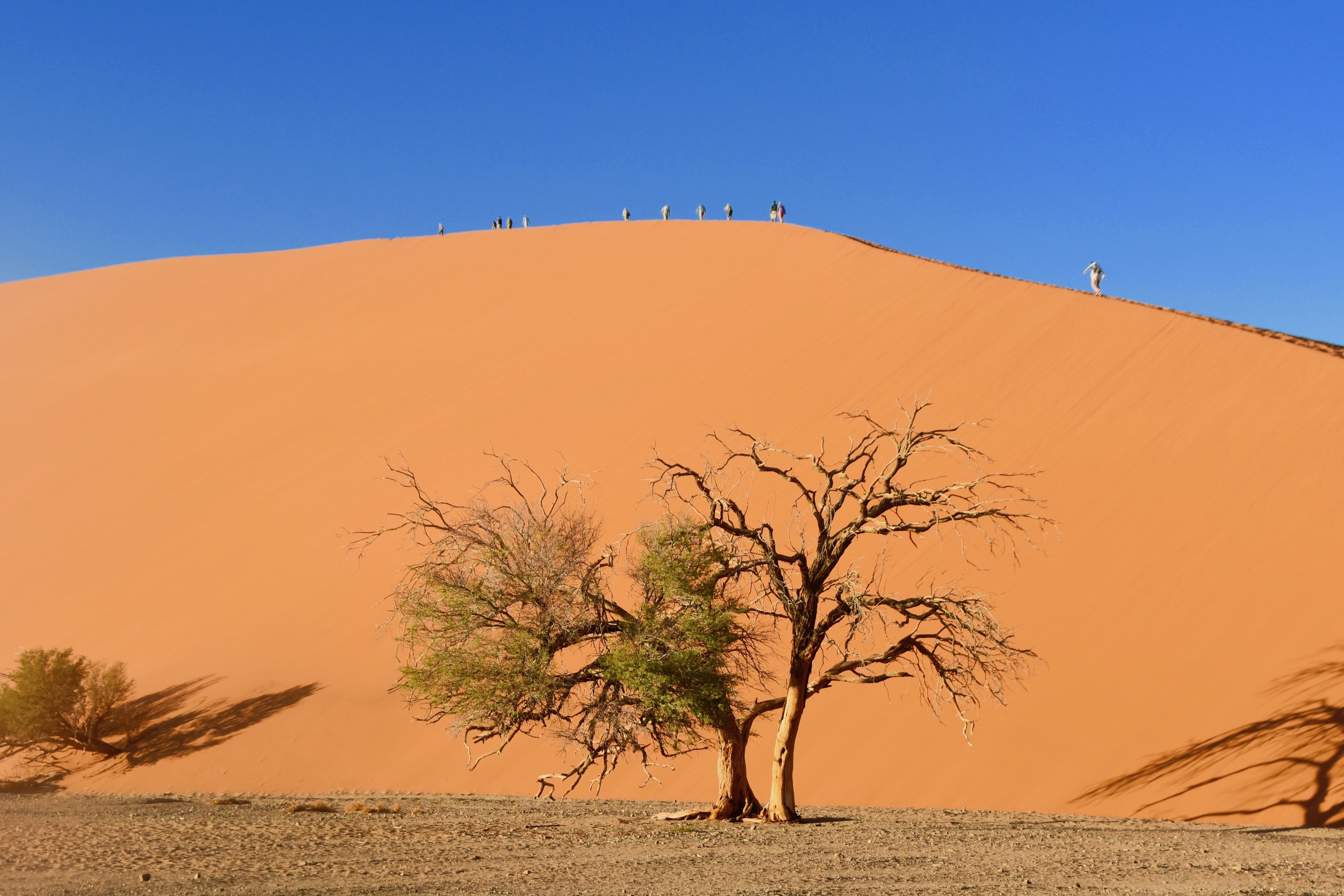 Namibia's Sossusvlei. Rusty Red Sand Dunes. - Africa, Destinations, Magical  Places, STORIES