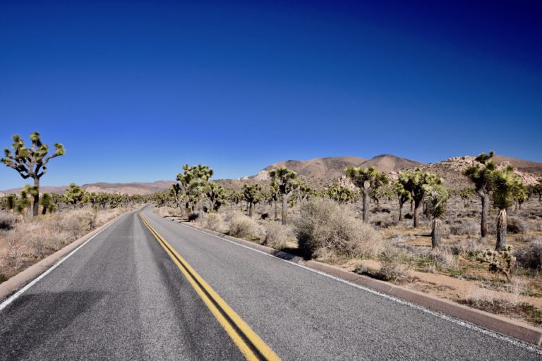 Joshua Tree National Park - Two Beautiful Deserts - The Maritime Explorer