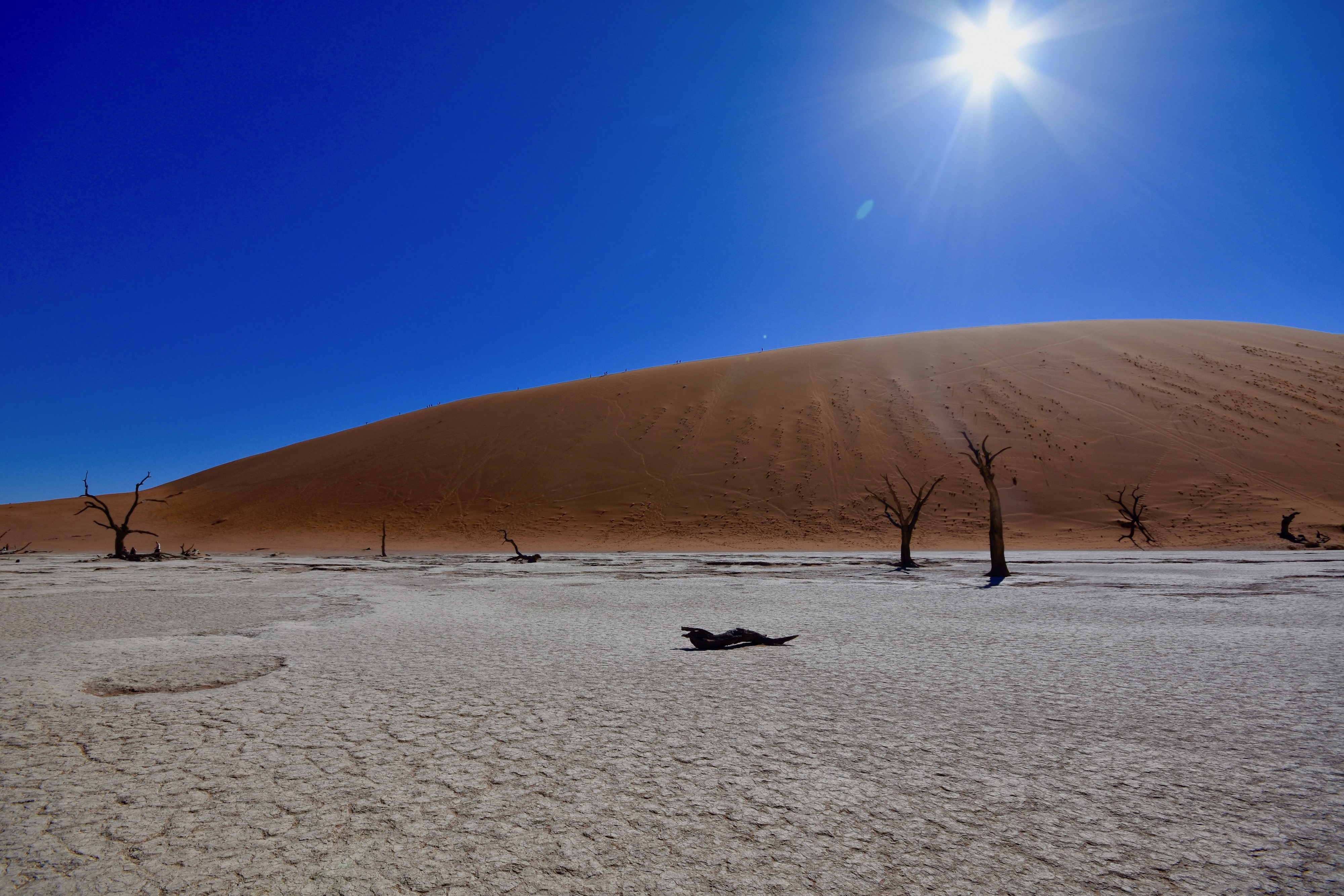 Blazing Sun, Sossusvlei