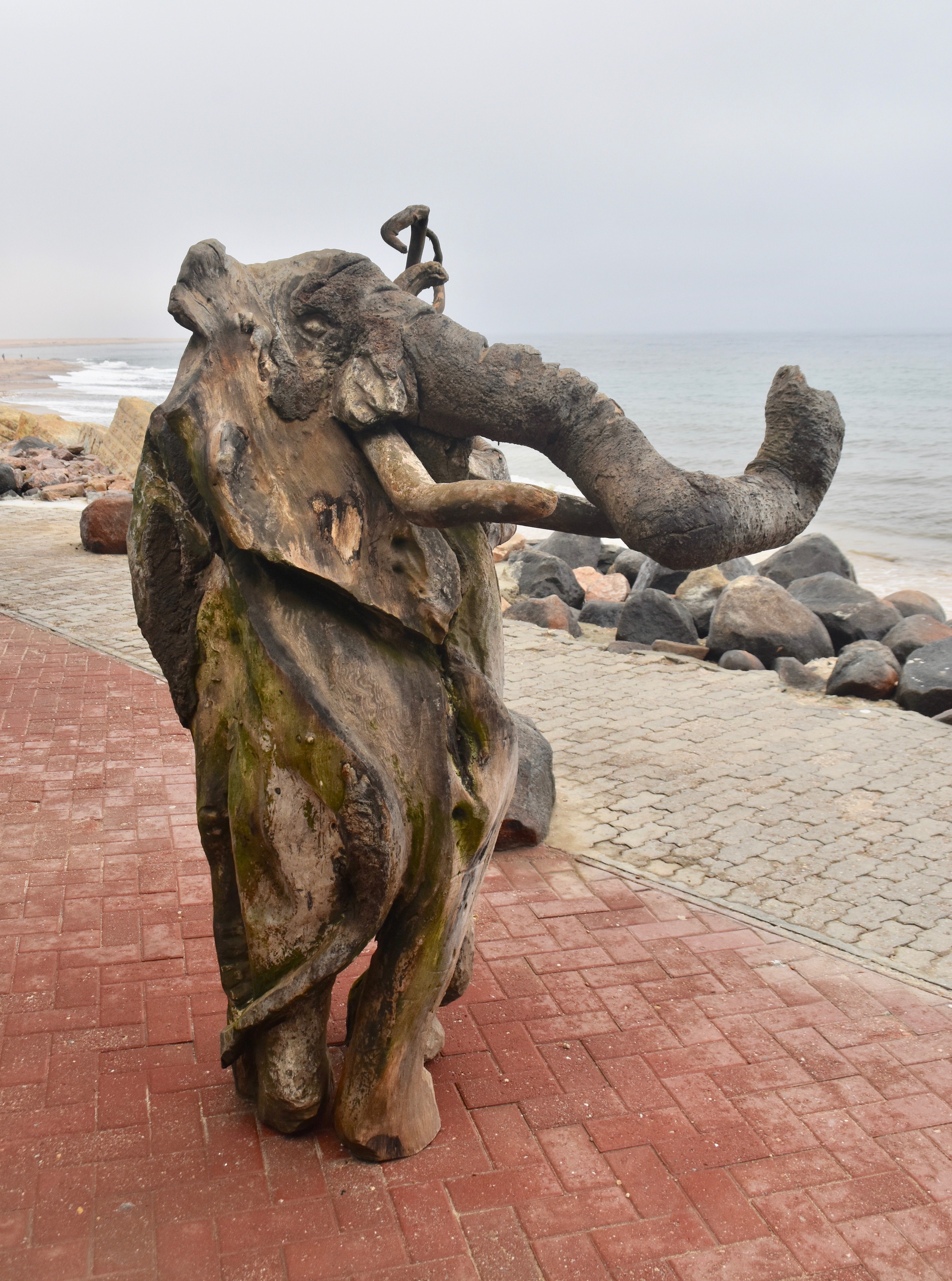 Driftwood Elephant, Swakopmund