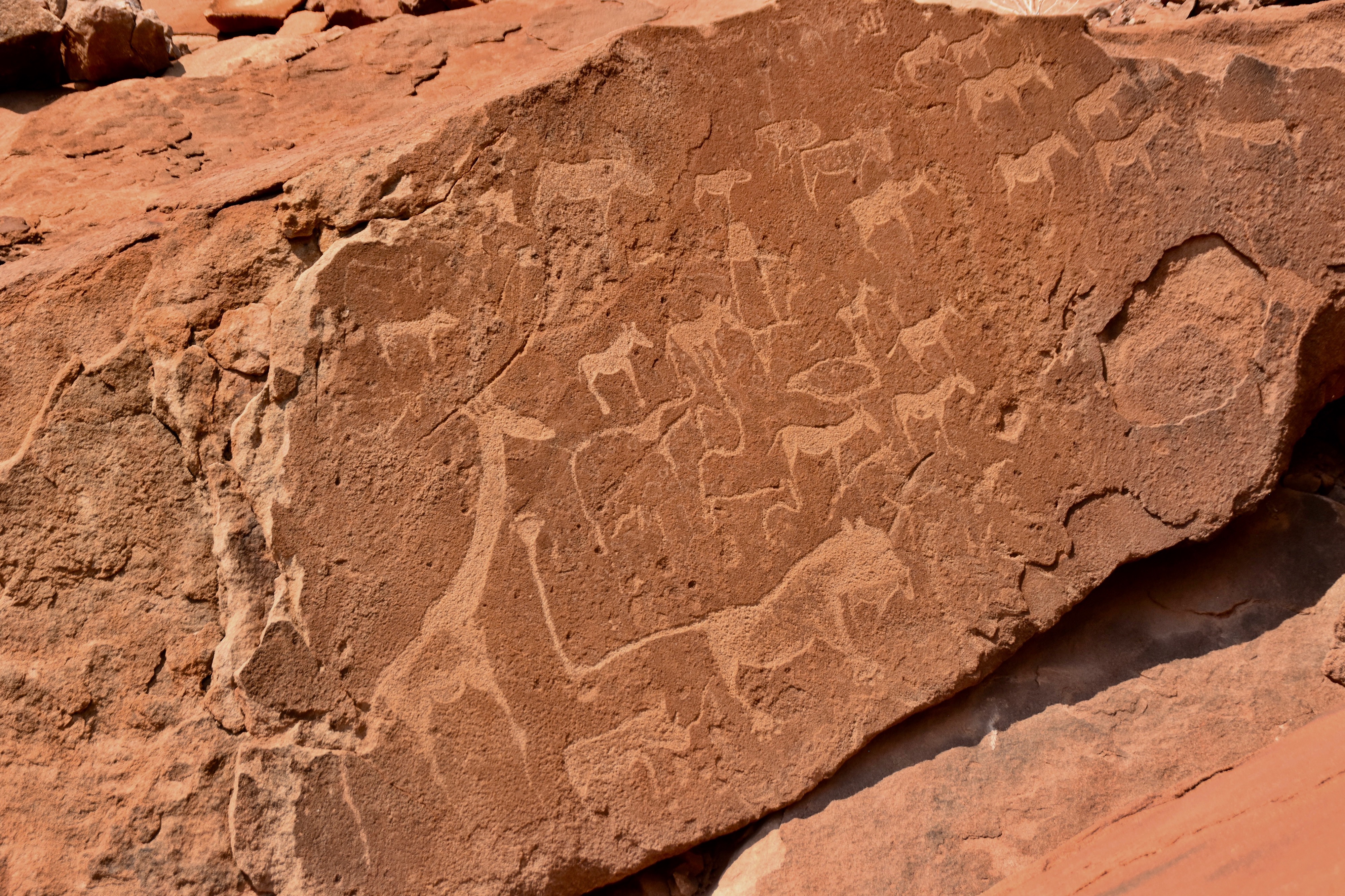 Lion Man, Twyfelfontein