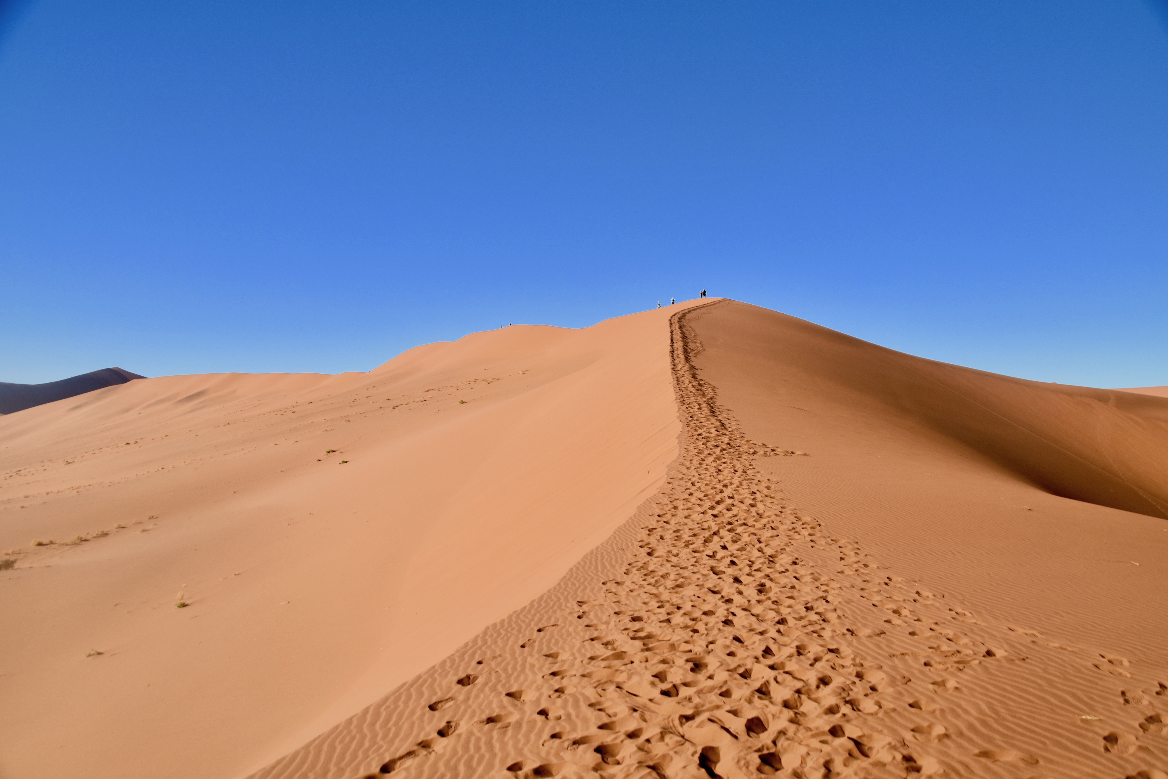 Path to Big Daddy, Sossusvlei