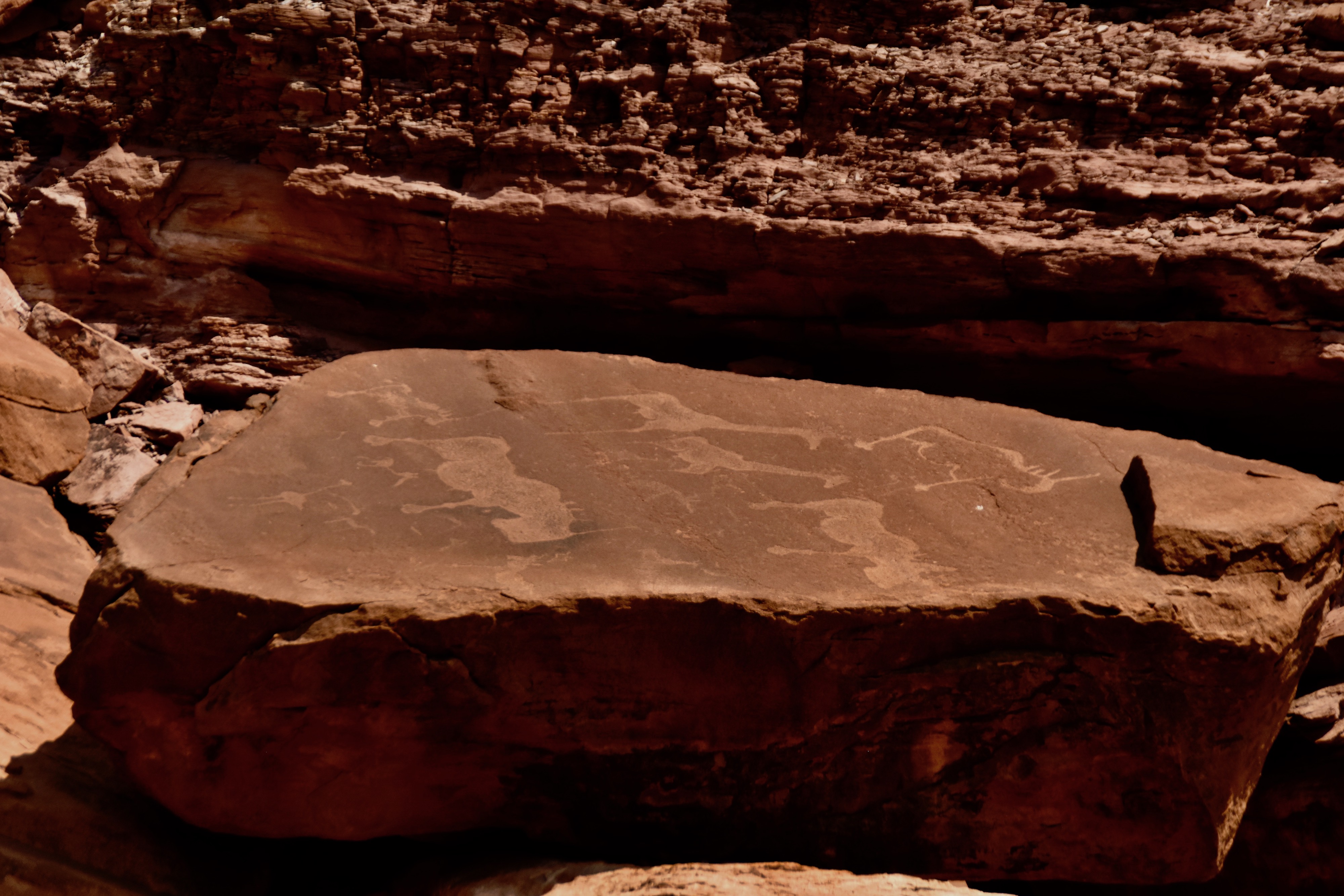 Three Rhinos, Twyfelfontein