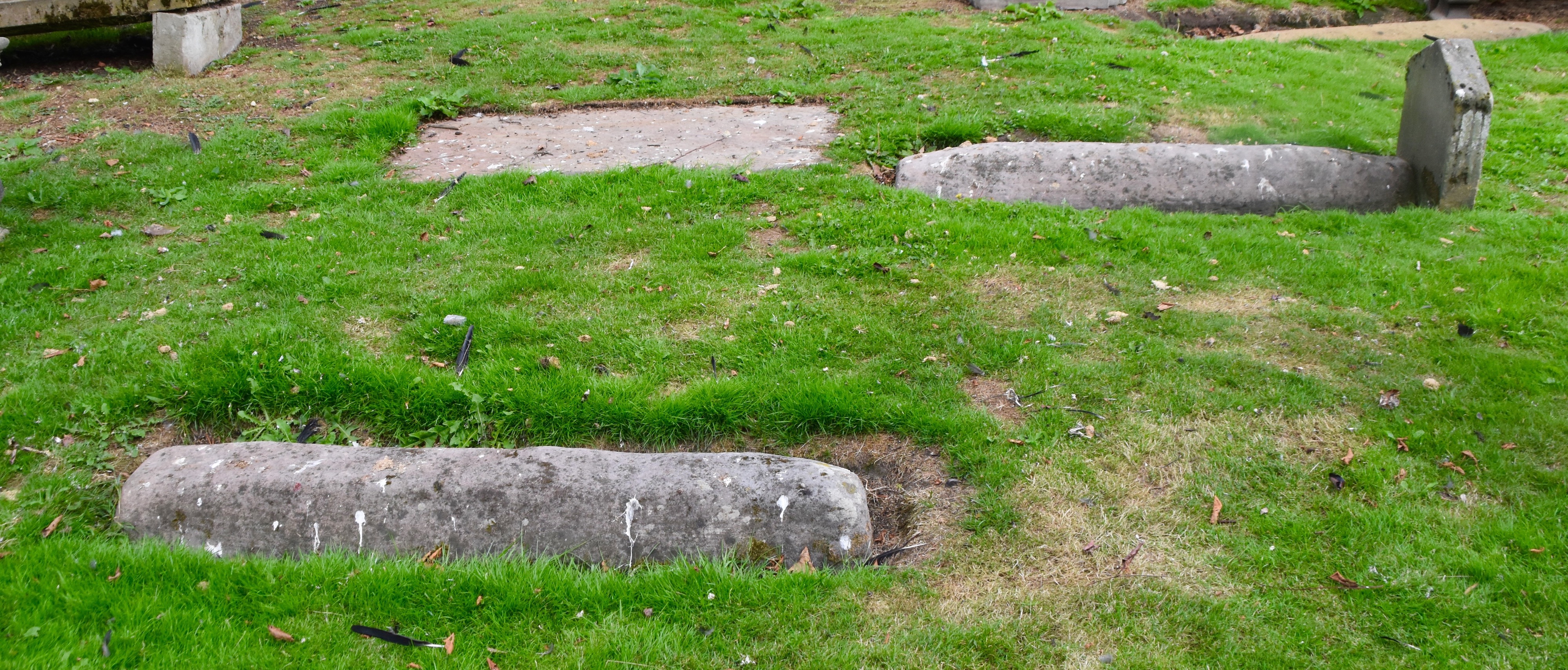 Viking Graves, Tain, North Coast 500