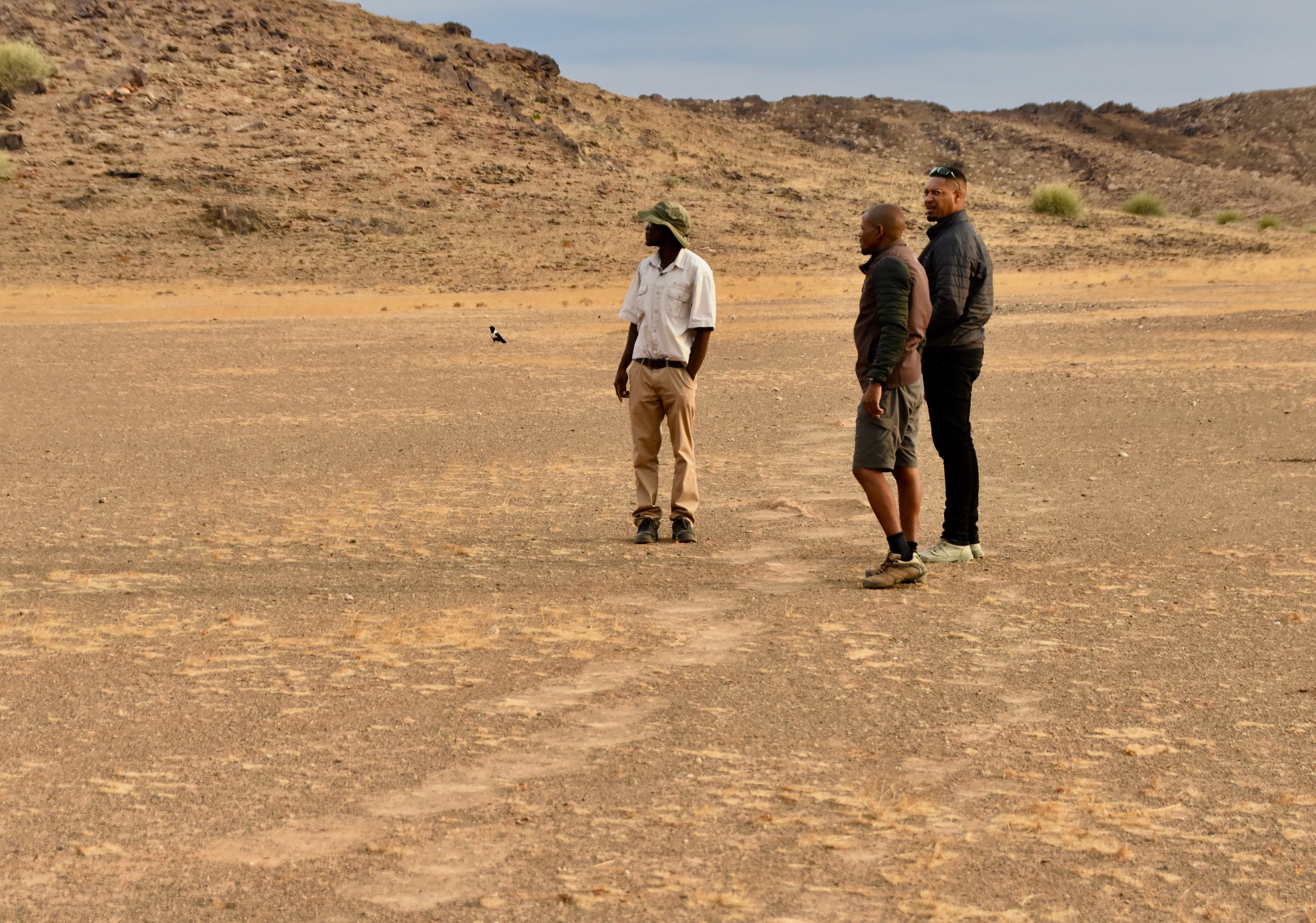 Tracking Elephants in Damaraland