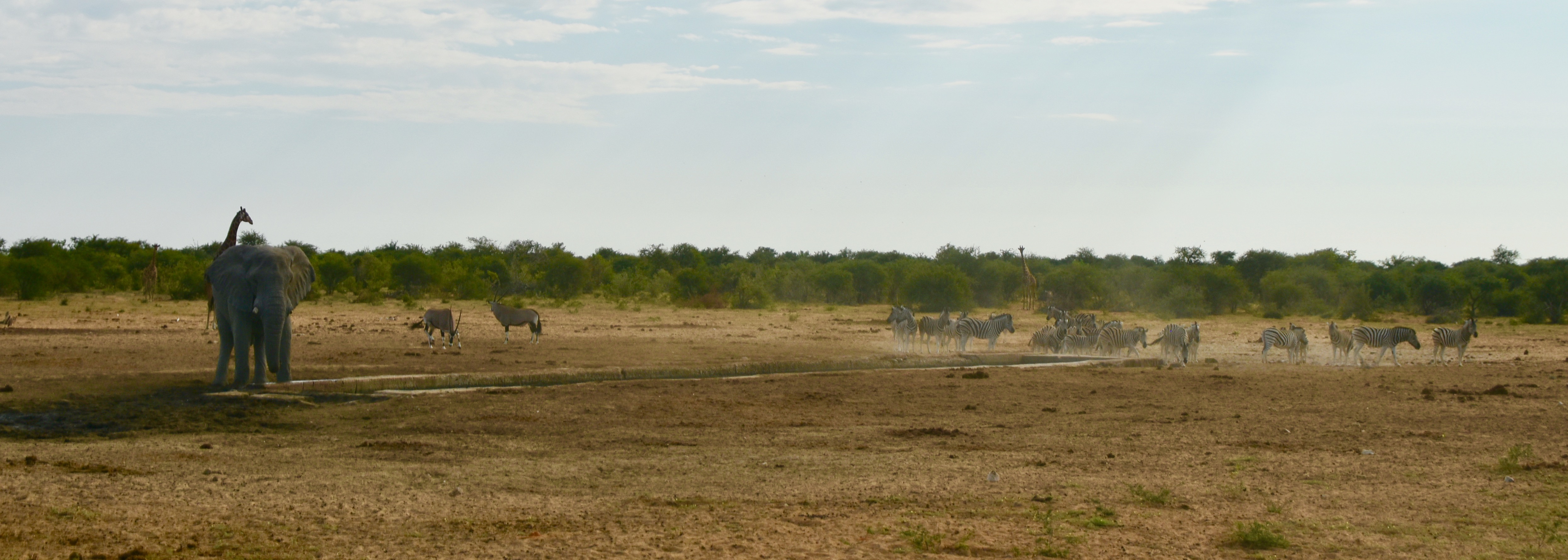 Etosha Water Holes - Tsacor