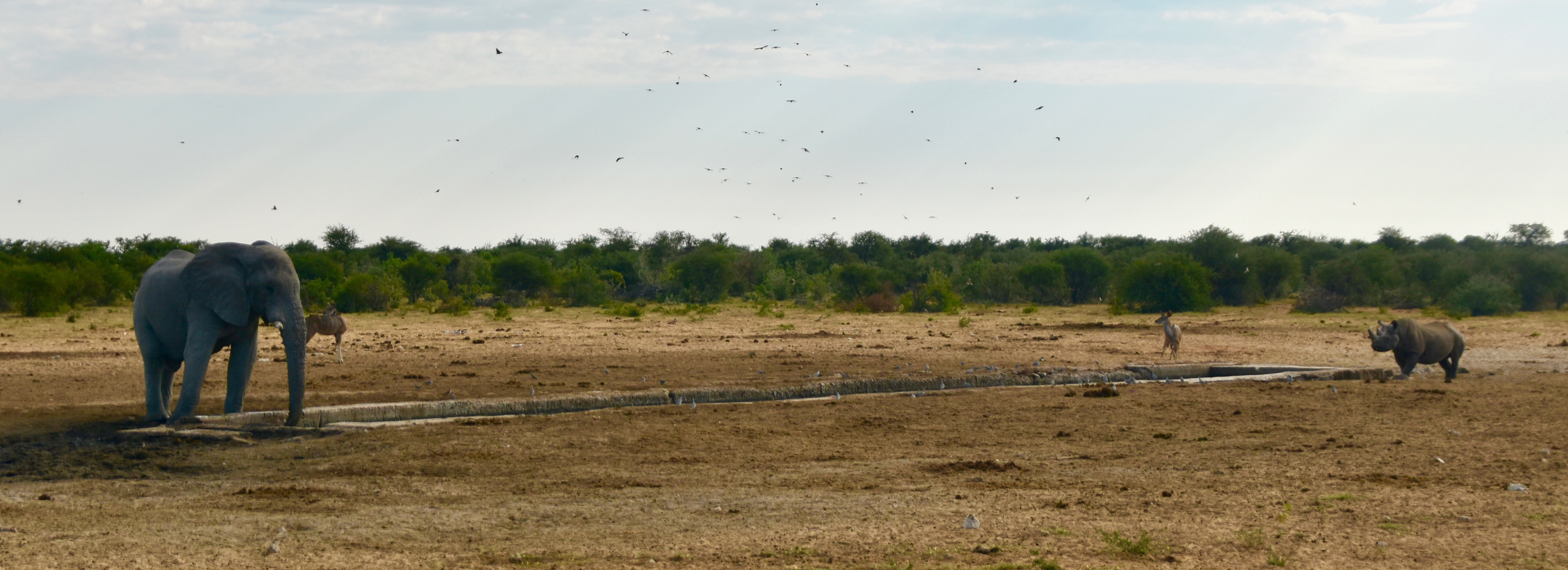 Tsacor Watering Hole, Etosha Water Holes