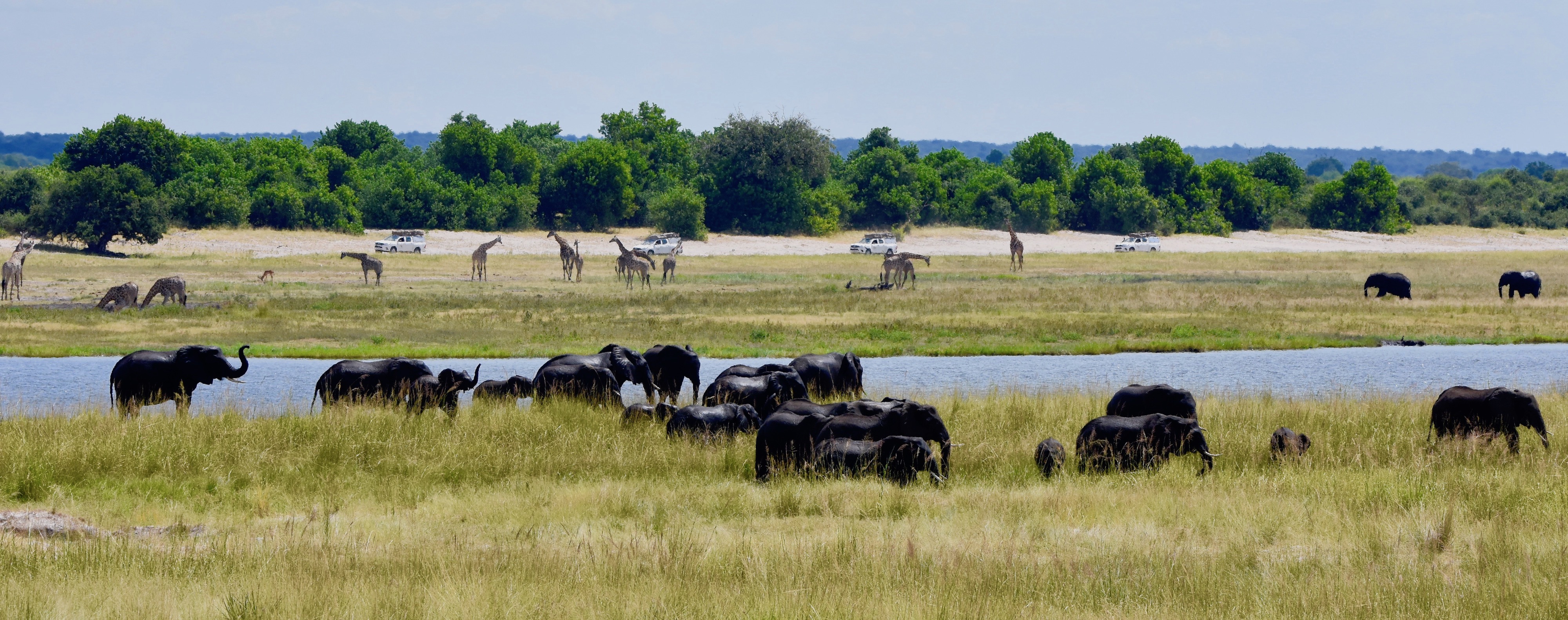 Chobe Savanna Lodge View