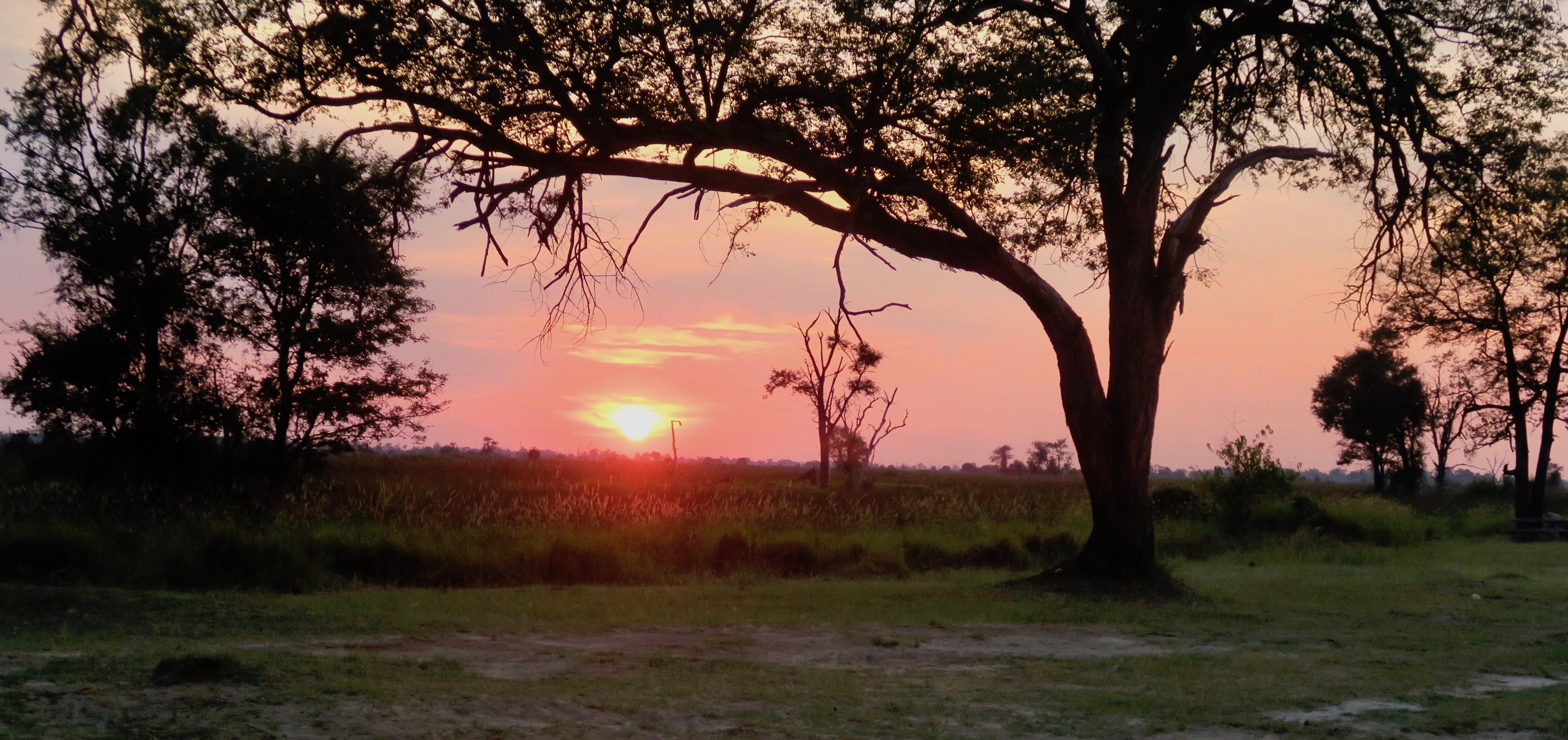 Sunrise, Okavango, Botswana